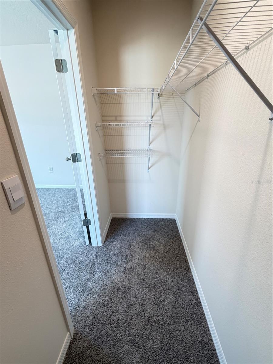 Master walk in closet - 3164 GOOSE RD, DAVENPORT