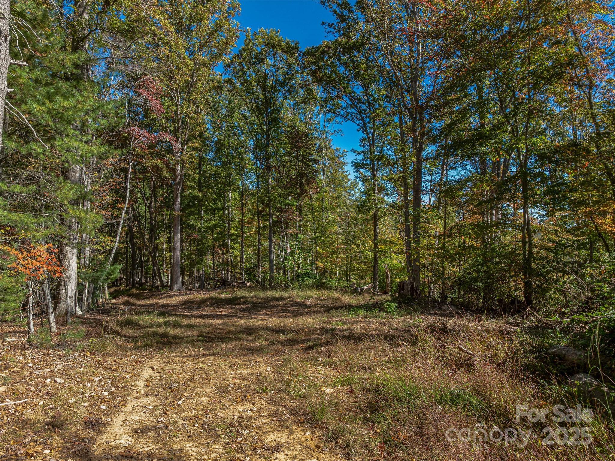 Multiple flat areas for build site. - 99999 Meadows Town Road, Marshall