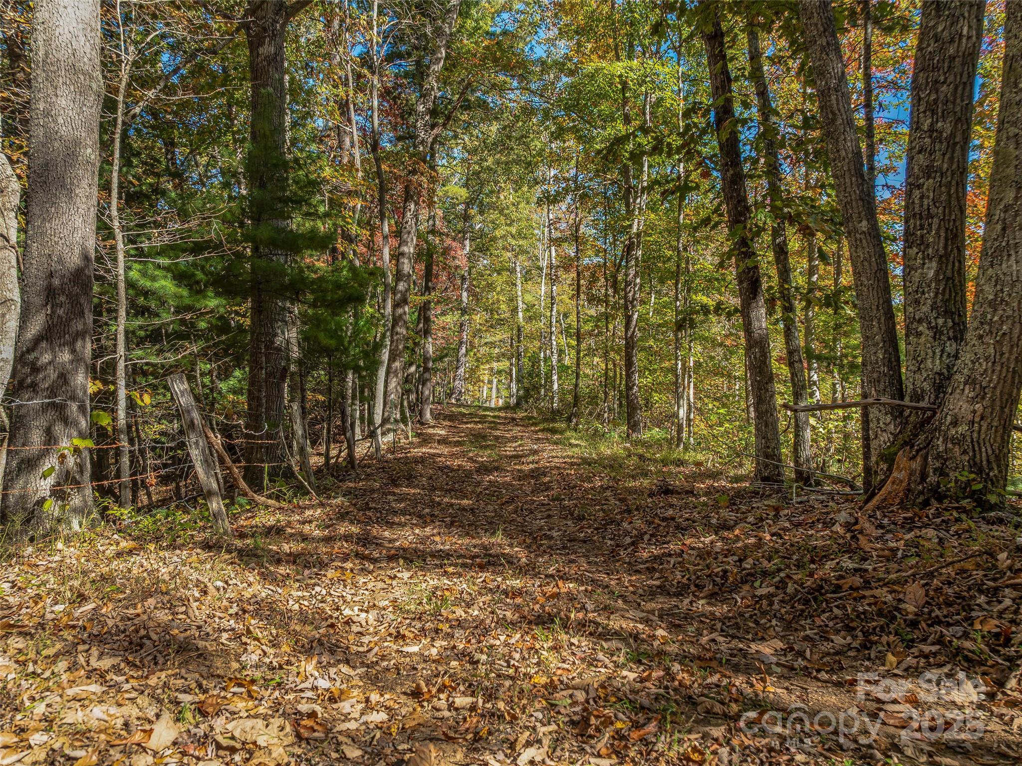 Roads throughout the property make it easy to navigate through the property. - 99999 Meadows Town Road, Marshall