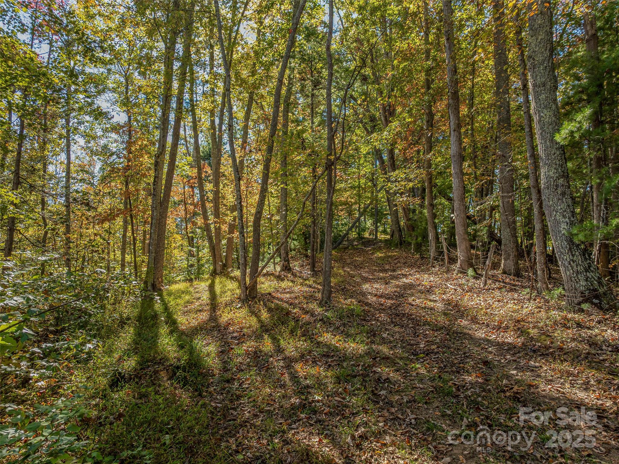 More buildable land for potential build site. - 99999 Meadows Town Road, Marshall