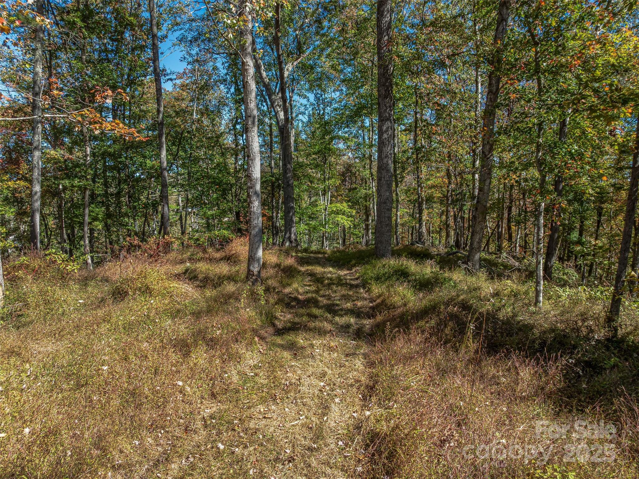 Another nice potential build site. - 99999 Meadows Town Road, Marshall