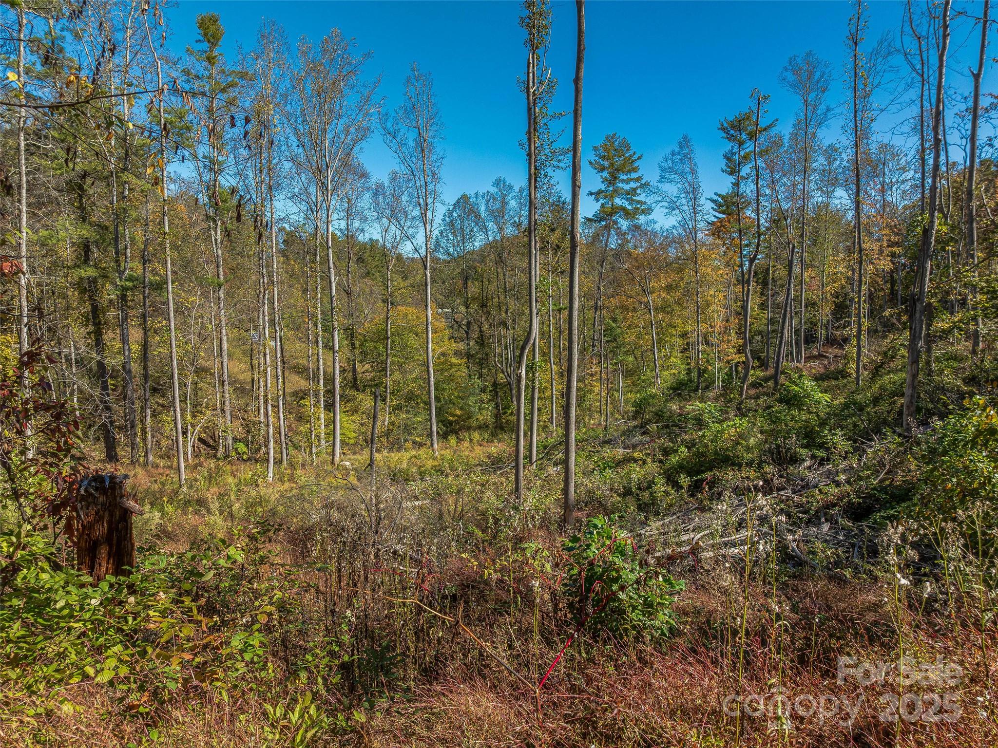 Potential long range mountain views. - 99999 Meadows Town Road, Marshall