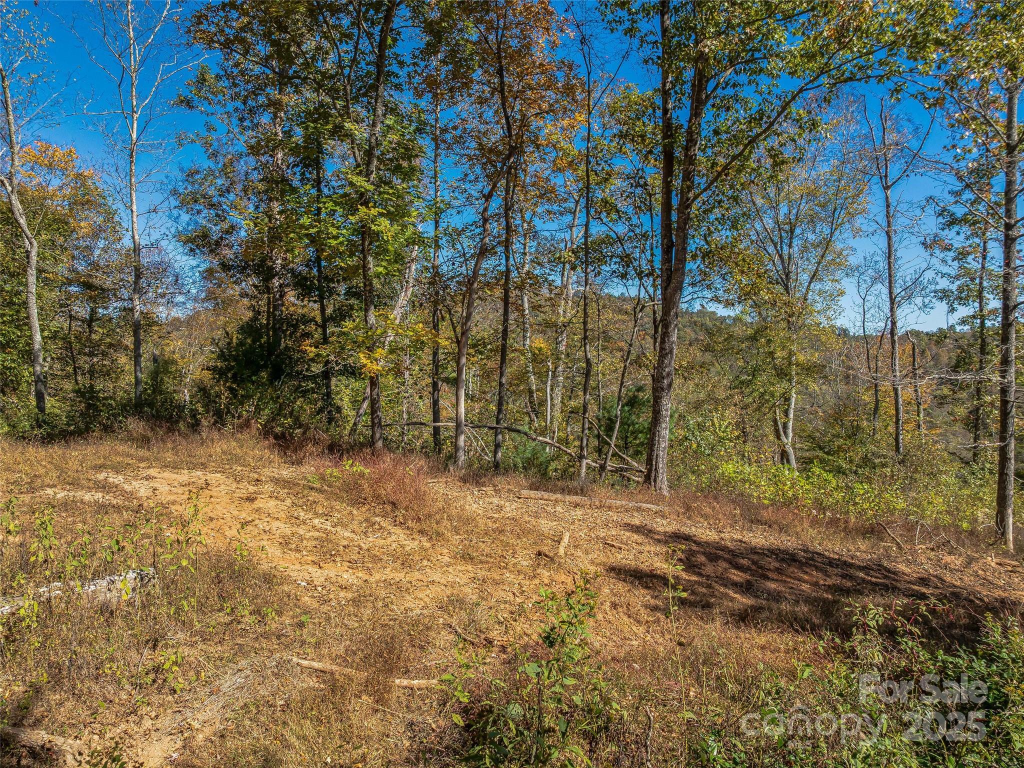 Another possible build site cleared and ready for your house plans! - 99999 Meadows Town Road, Marshall