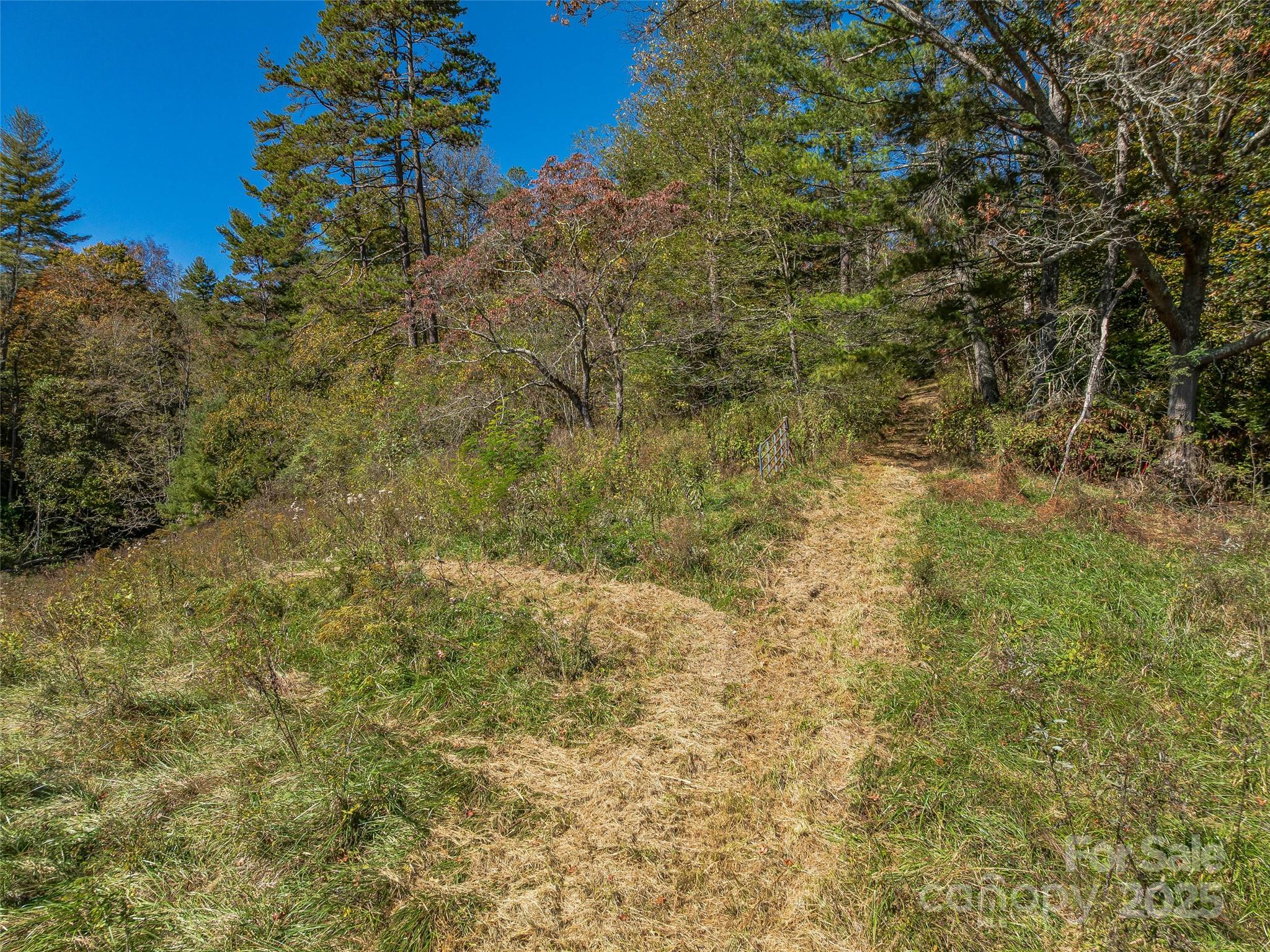 Acreage at 99999 Meadows Town Road, Marshall, photo 15 of 47