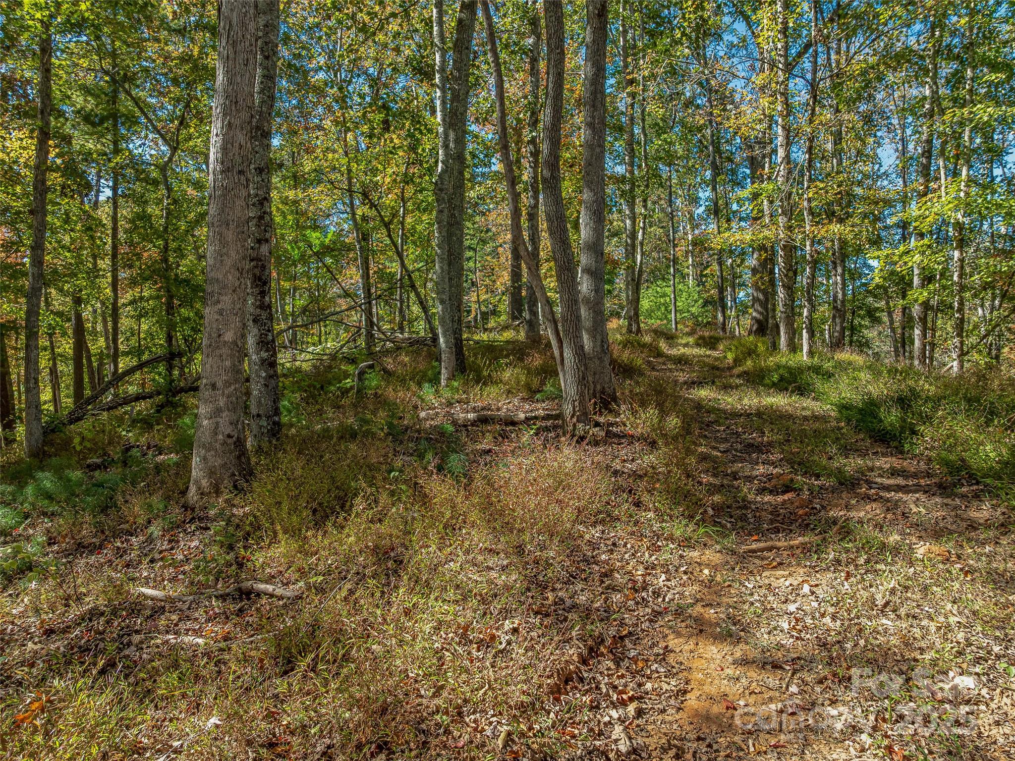Acreage at 99999 Meadows Town Road, Marshall, photo 18 of 47