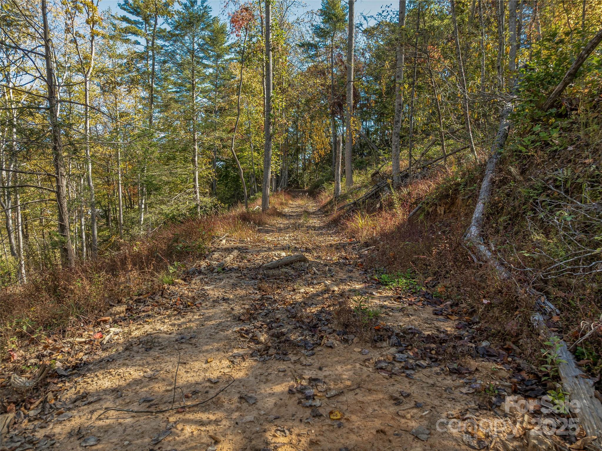 Acreage at 99999 Meadows Town Road, Marshall, photo 22 of 47