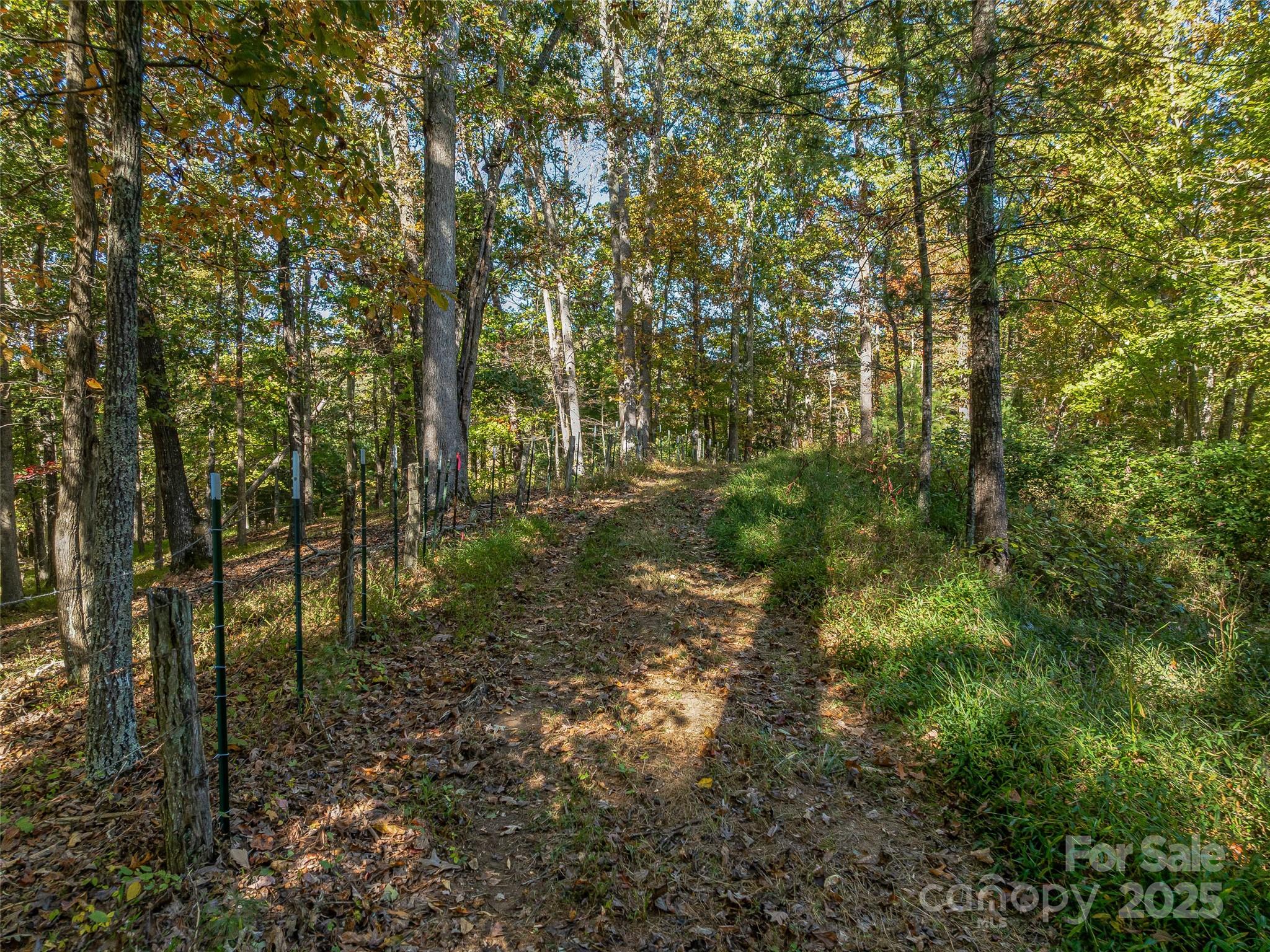 Acreage at 99999 Meadows Town Road, Marshall, photo 24 of 47