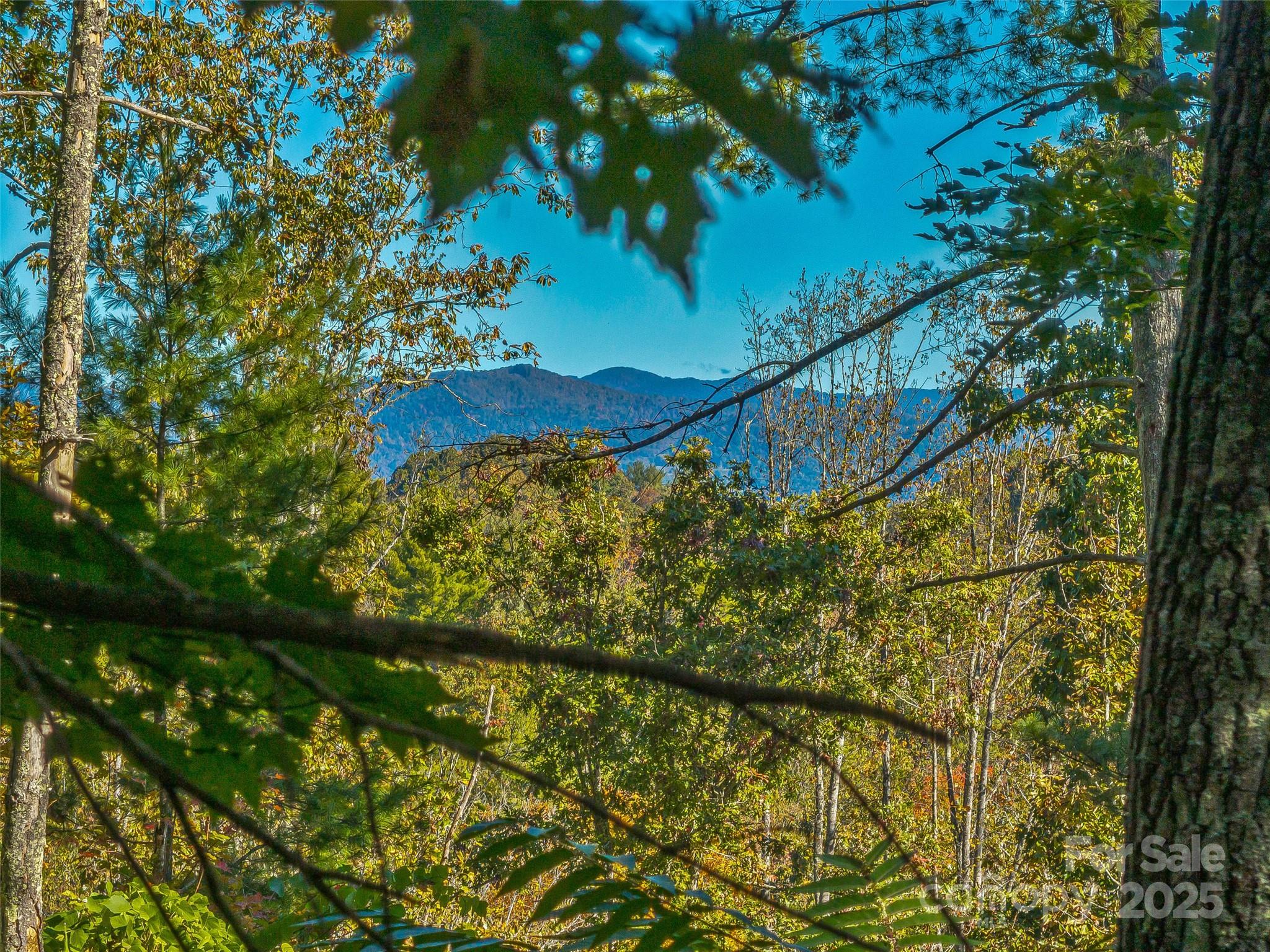Acreage at 99999 Meadows Town Road, Marshall, photo 30 of 47