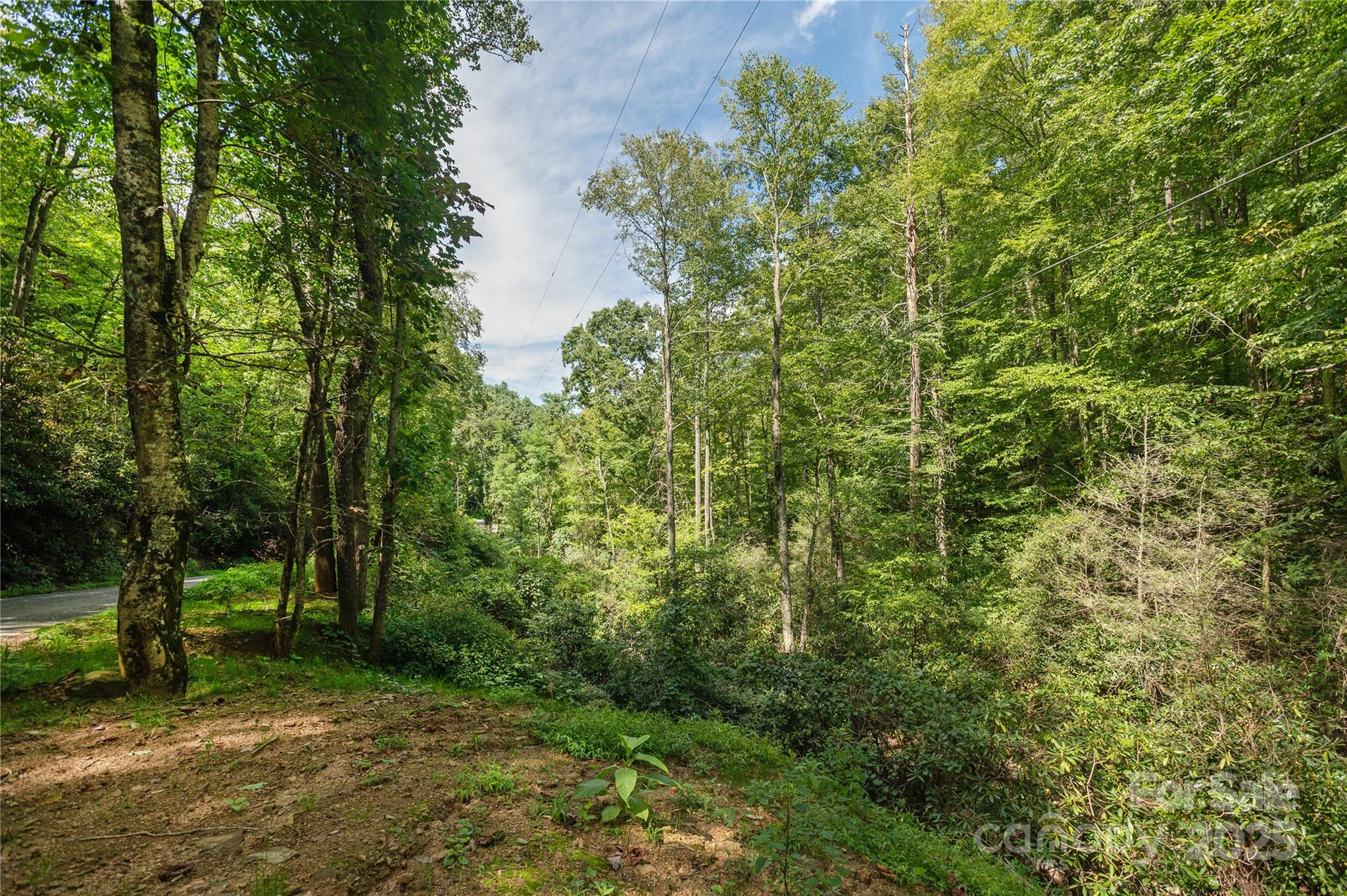 Acreage at 99999 Christian Creek Road, Swannanoa, photo 2 of 9