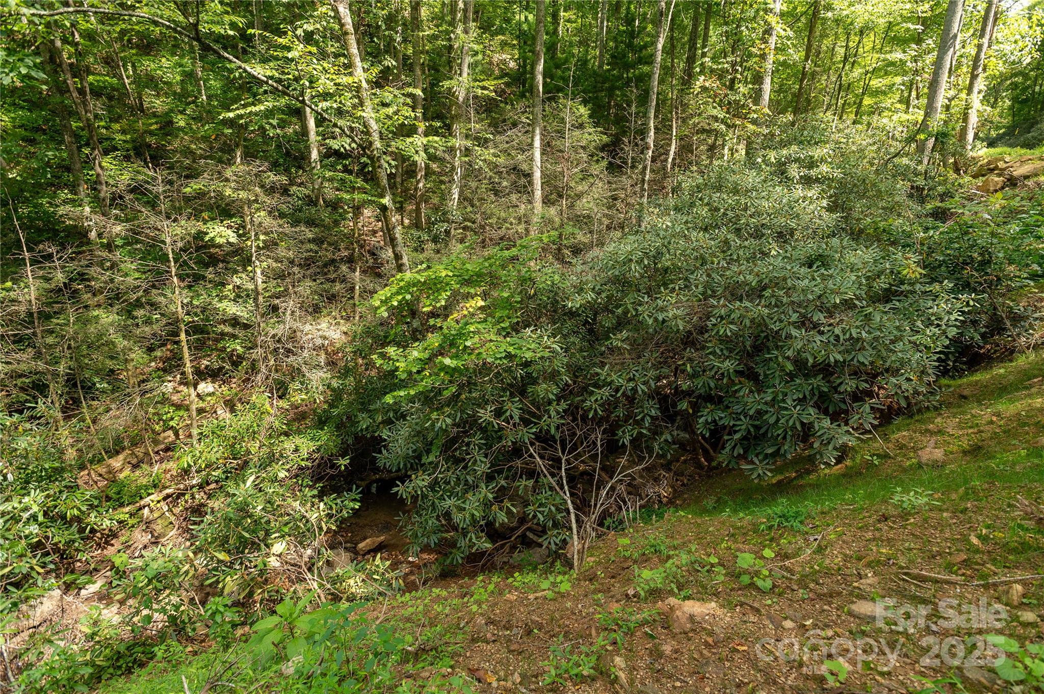 Acreage at 99999 Christian Creek Road, Swannanoa, photo 3 of 9