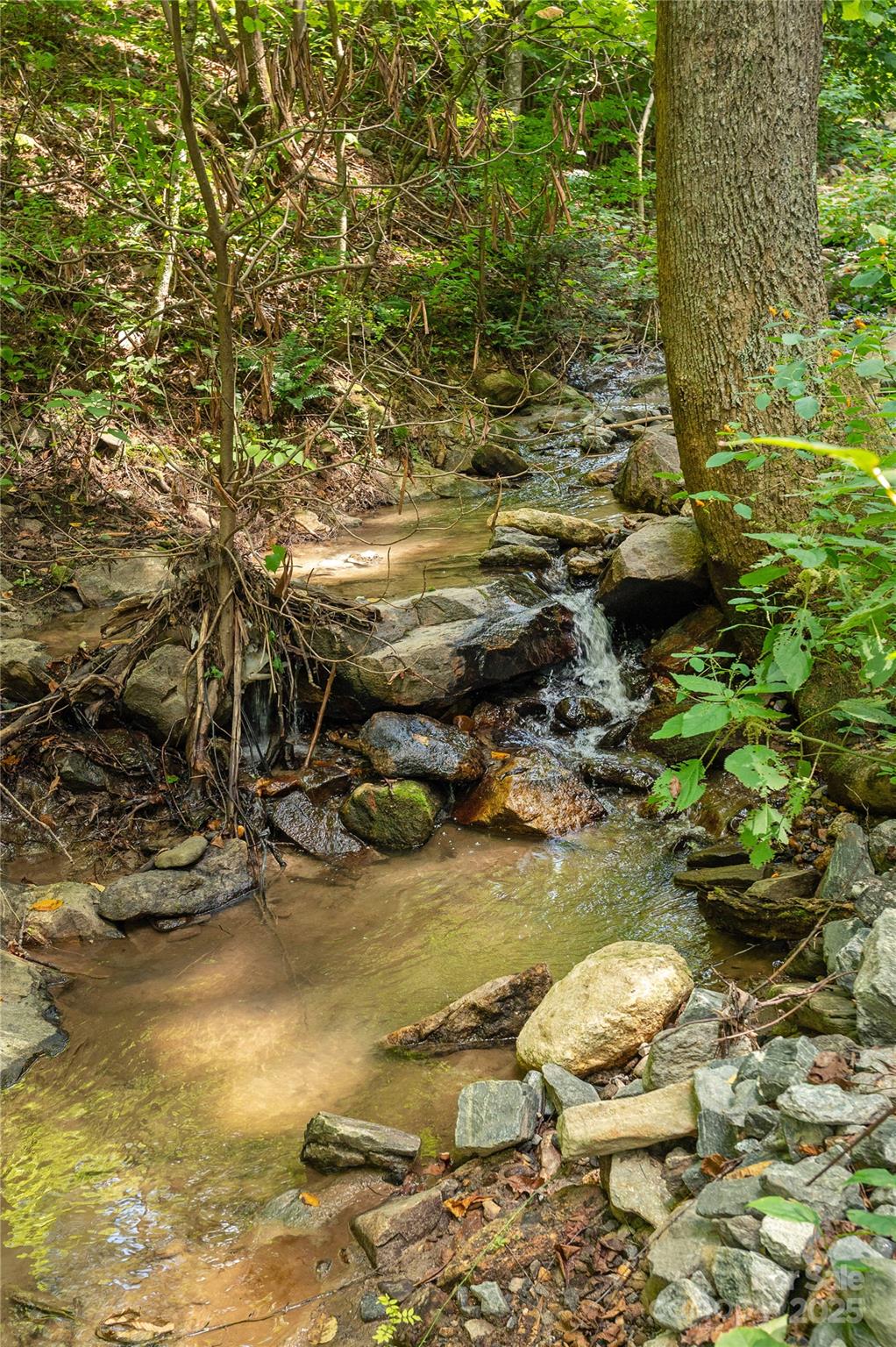 Acreage at 99999 Christian Creek Road, Swannanoa, photo 6 of 9
