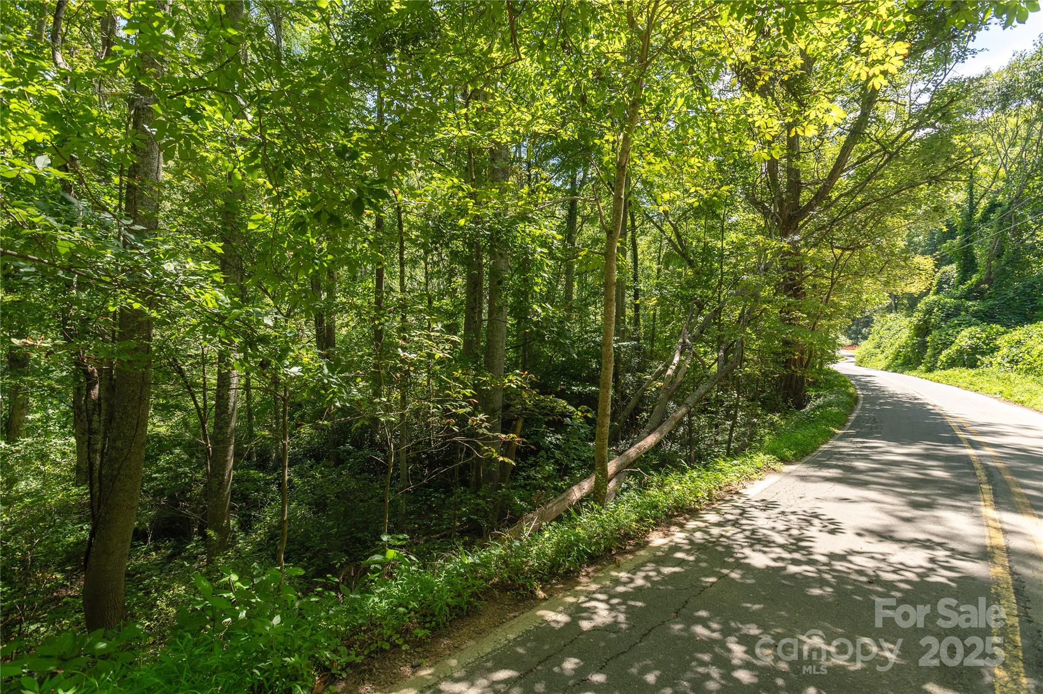 Acreage at 99999 Christian Creek Road, Swannanoa, photo 7 of 9