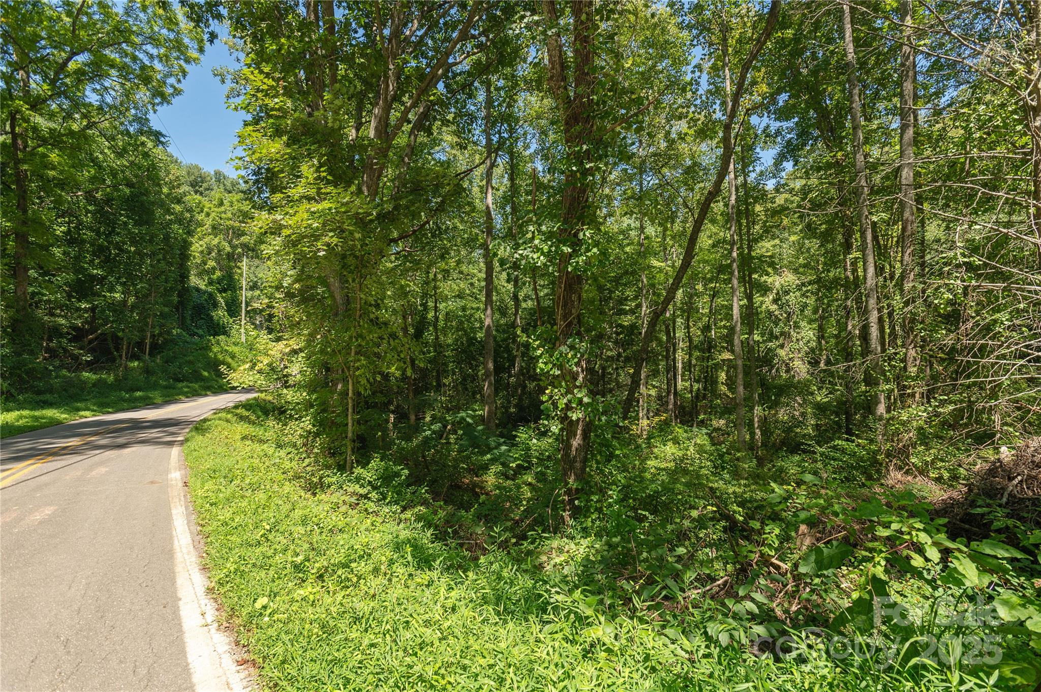 Acreage at 99999 Christian Creek Road, Swannanoa, photo 9 of 9