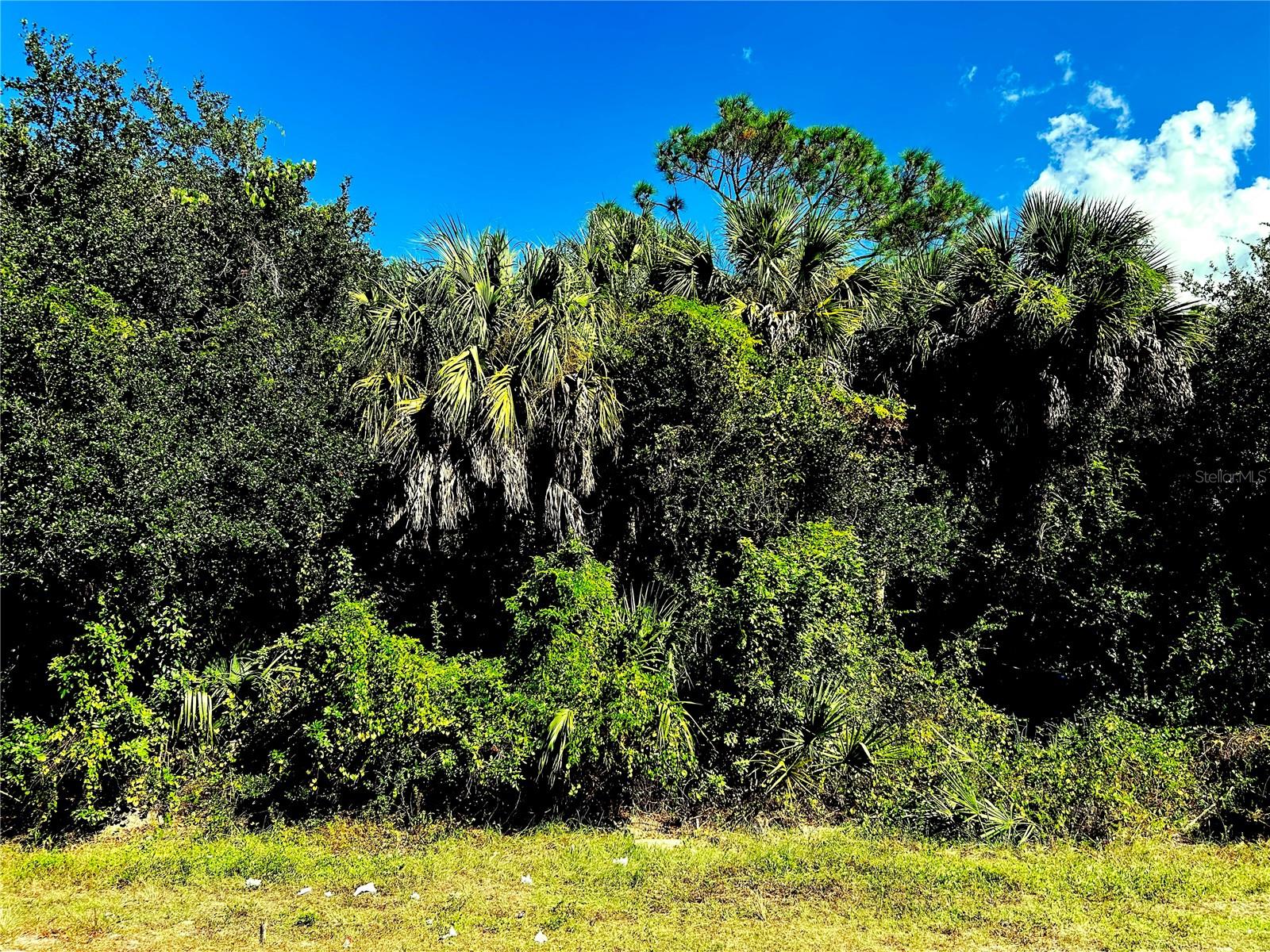Land at 1428 KENESAW ST, PORT CHARLOTTE, photo 3 of 6