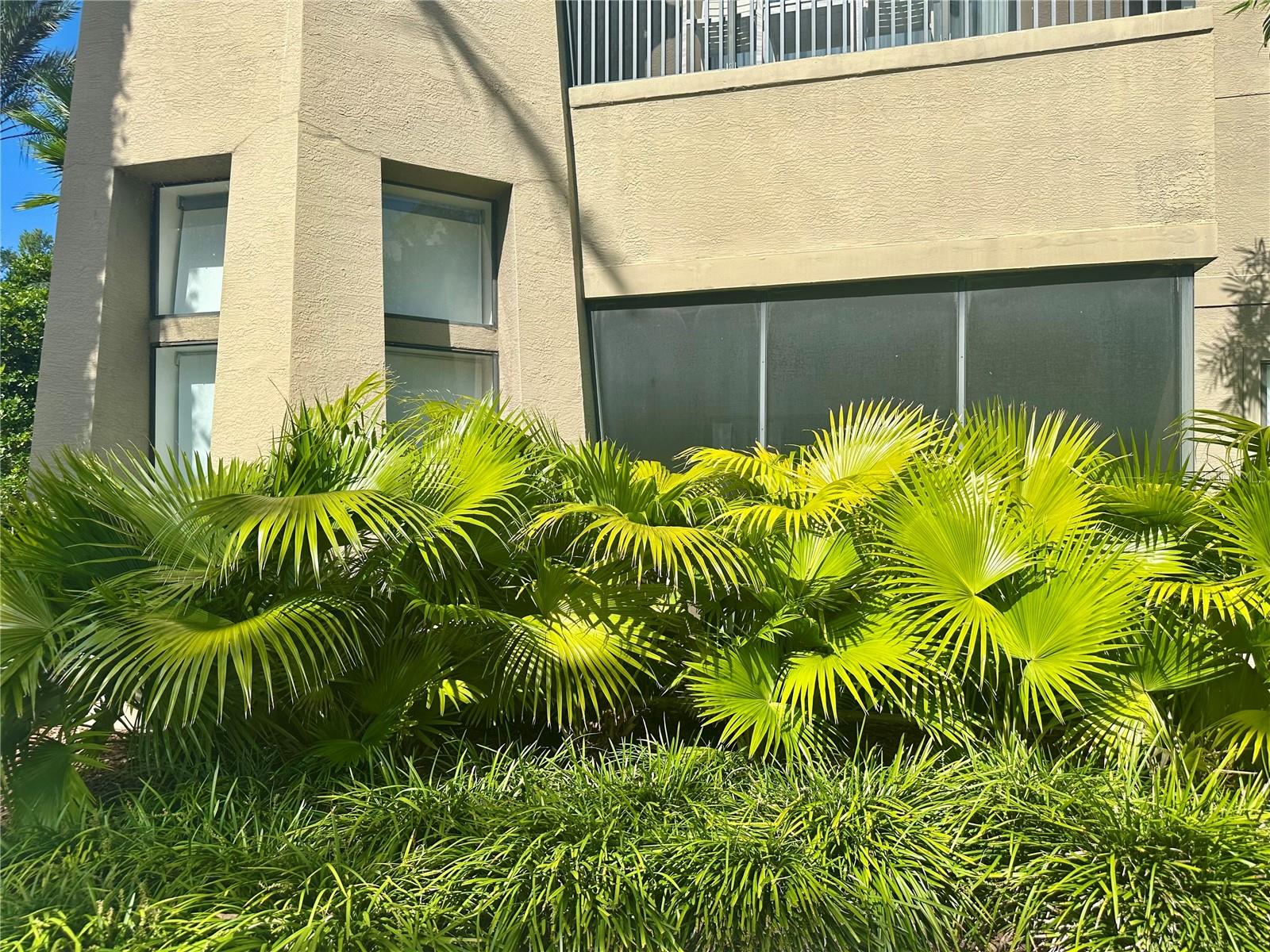 Outside Patio View - 14501 GROVE RESORT AVE #2101, WINTER GARDEN