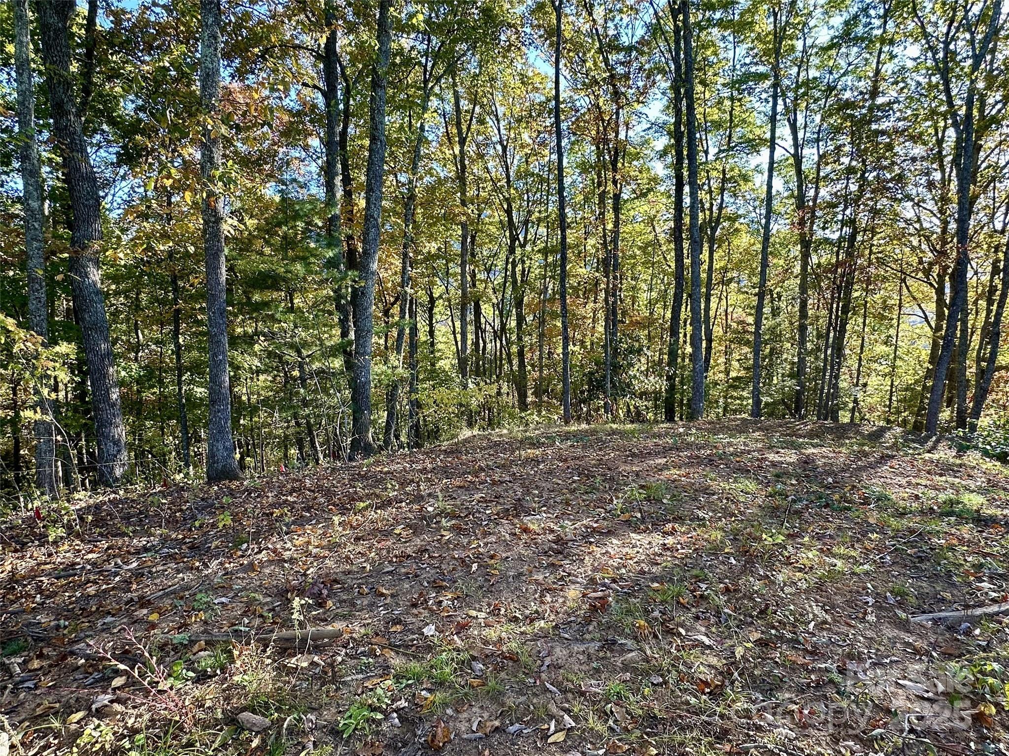 Lot at 534 Cicada Drive, Maggie Valley, photo 5 of 32