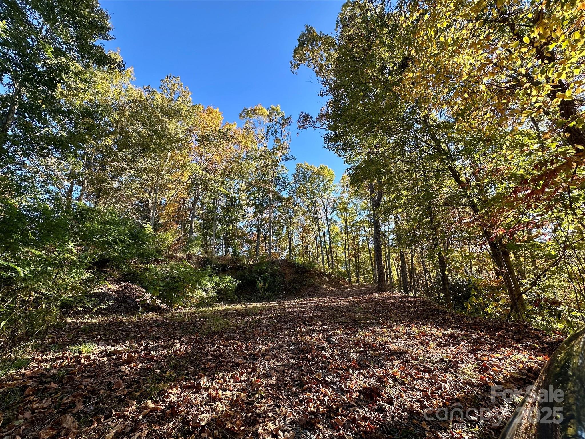Lot at 534 Cicada Drive, Maggie Valley, photo 7 of 32