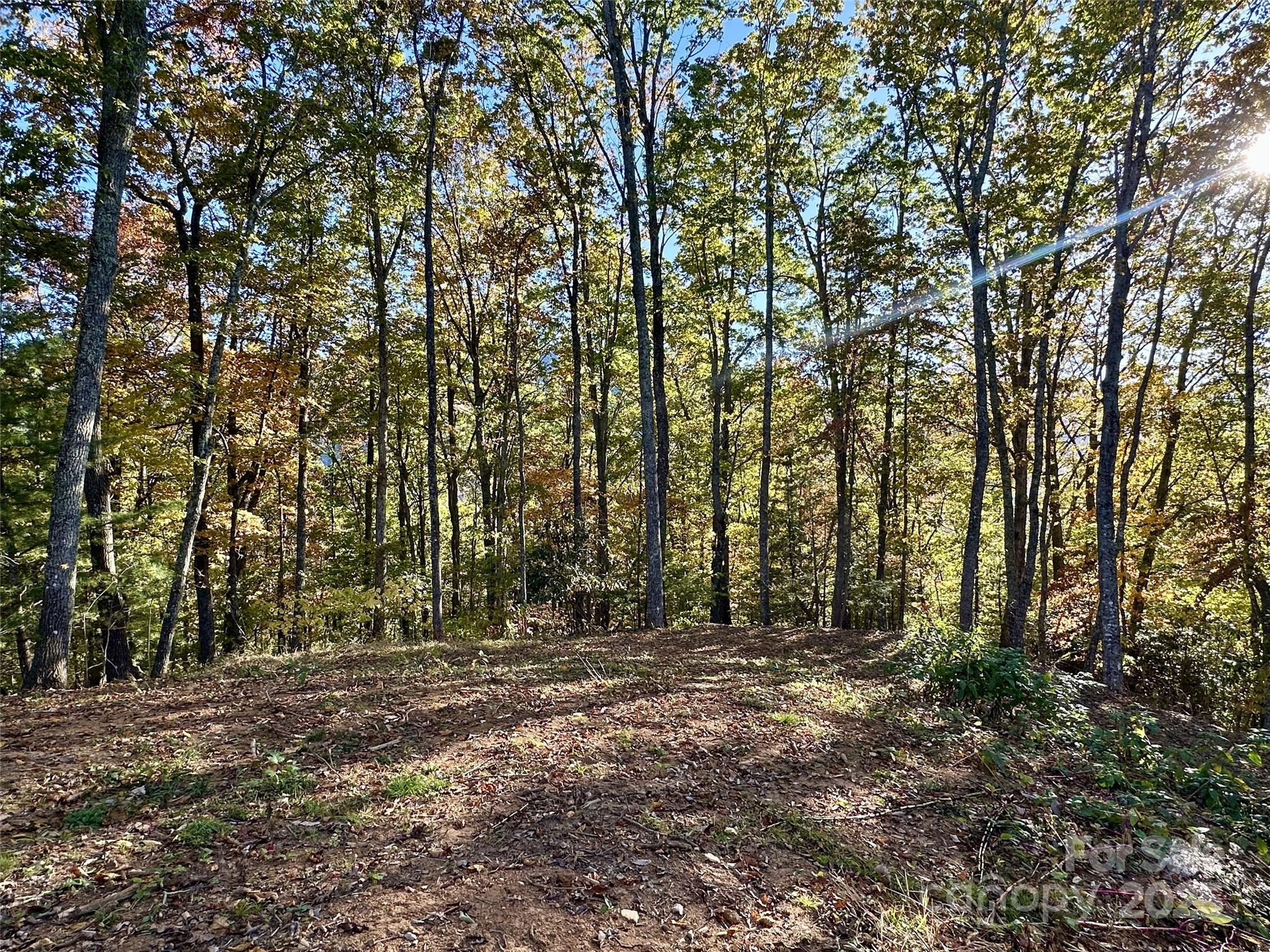 Lot at 534 Cicada Drive, Maggie Valley, photo 9 of 32