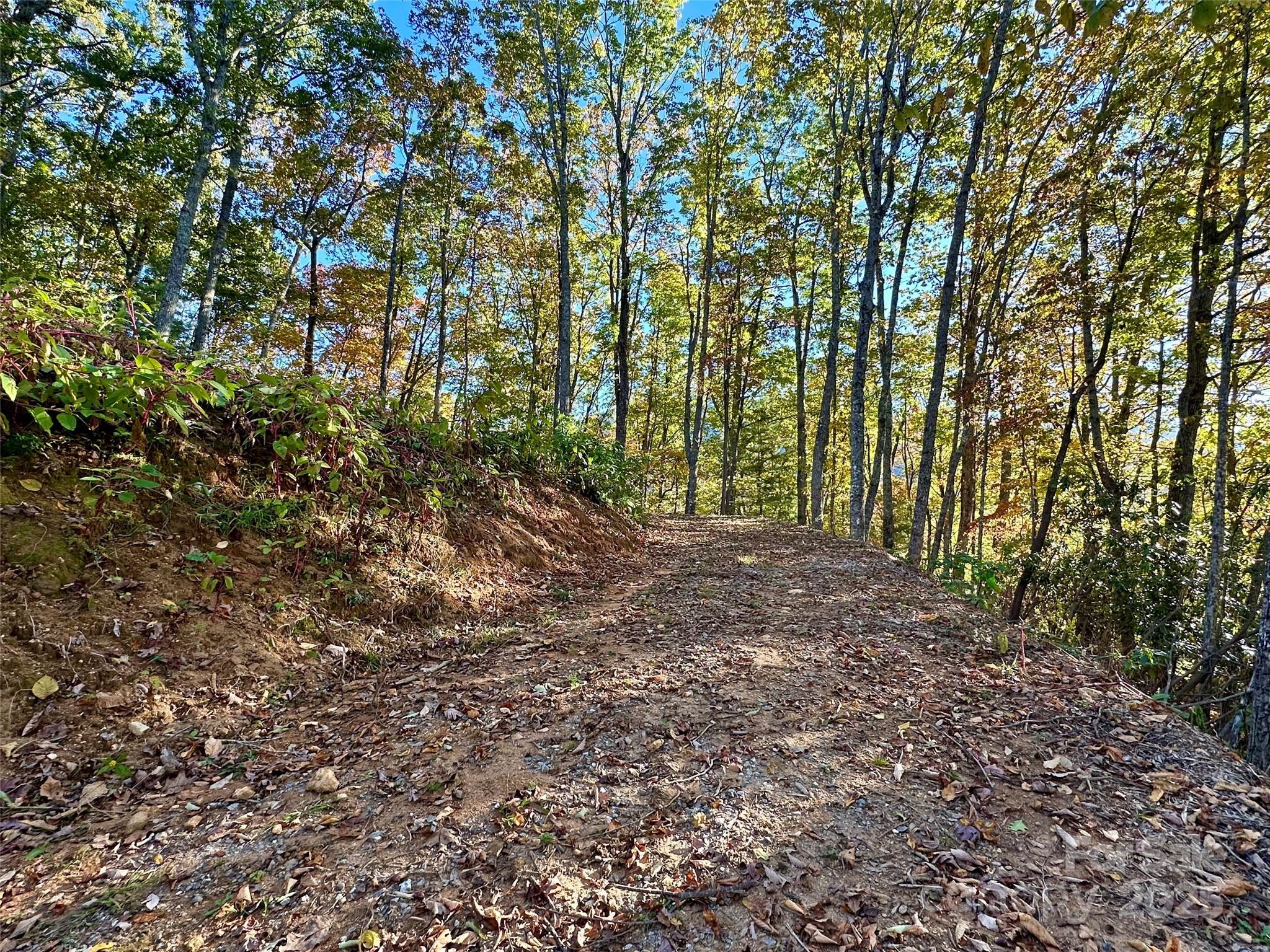 Lot at 534 Cicada Drive, Maggie Valley, photo 15 of 32