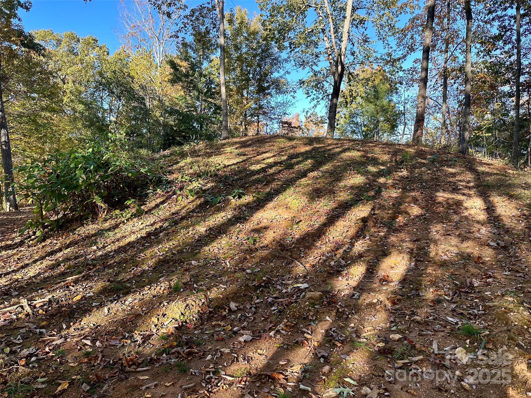 Lot at 534 Cicada Drive, Maggie Valley, photo 17 of 32