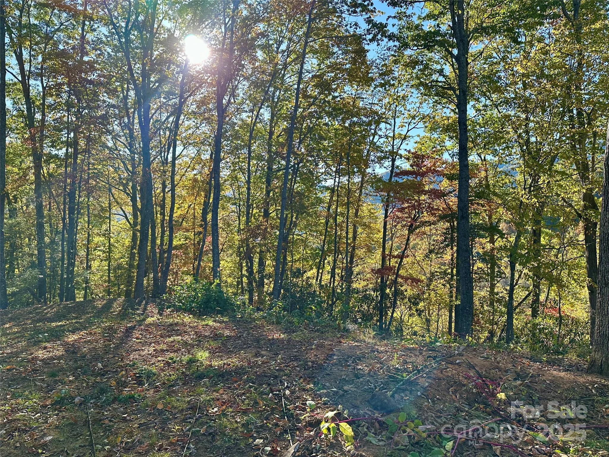 Lot at 534 Cicada Drive, Maggie Valley, photo 19 of 32