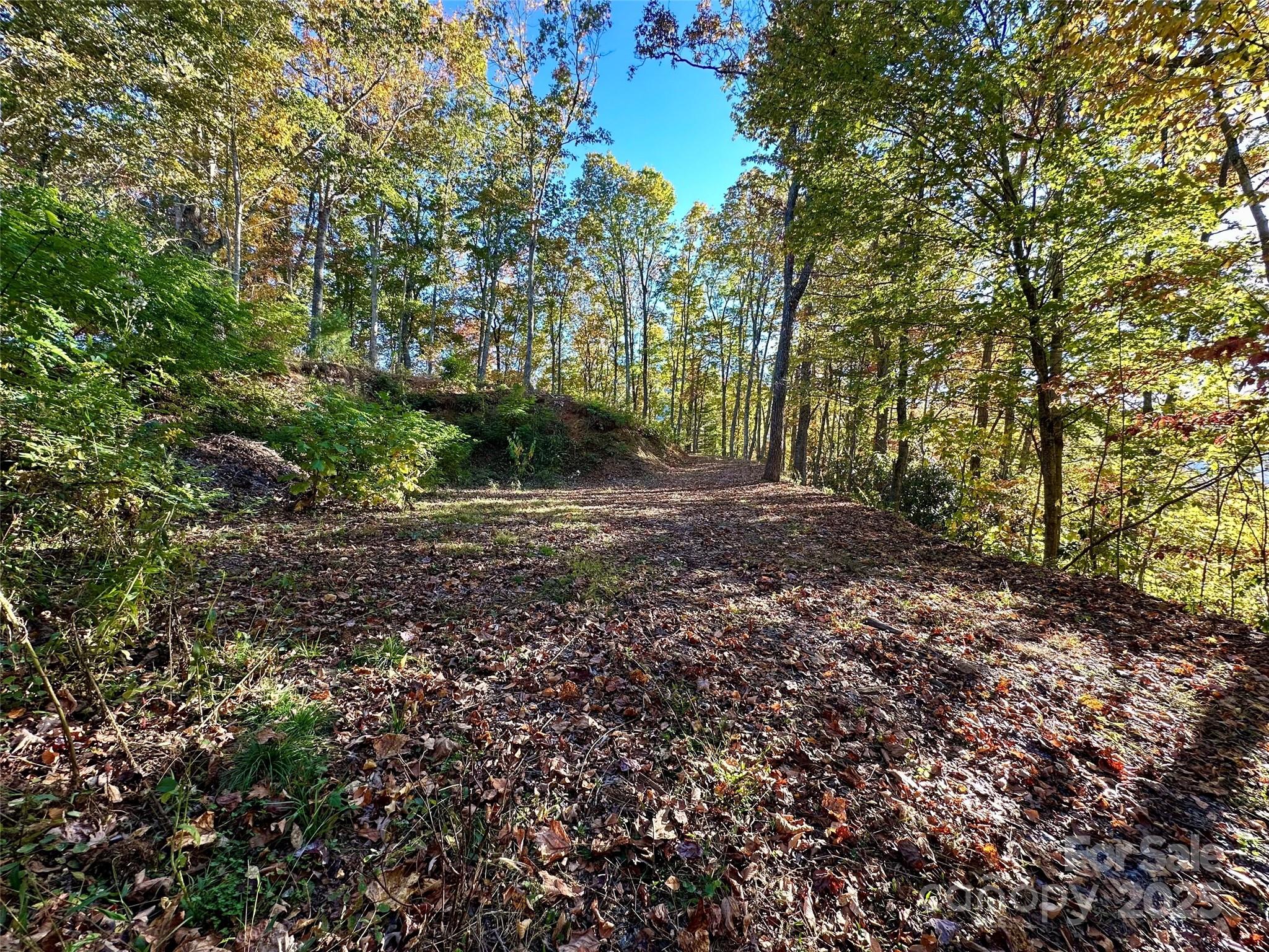 Lot at 534 Cicada Drive, Maggie Valley, photo 23 of 32