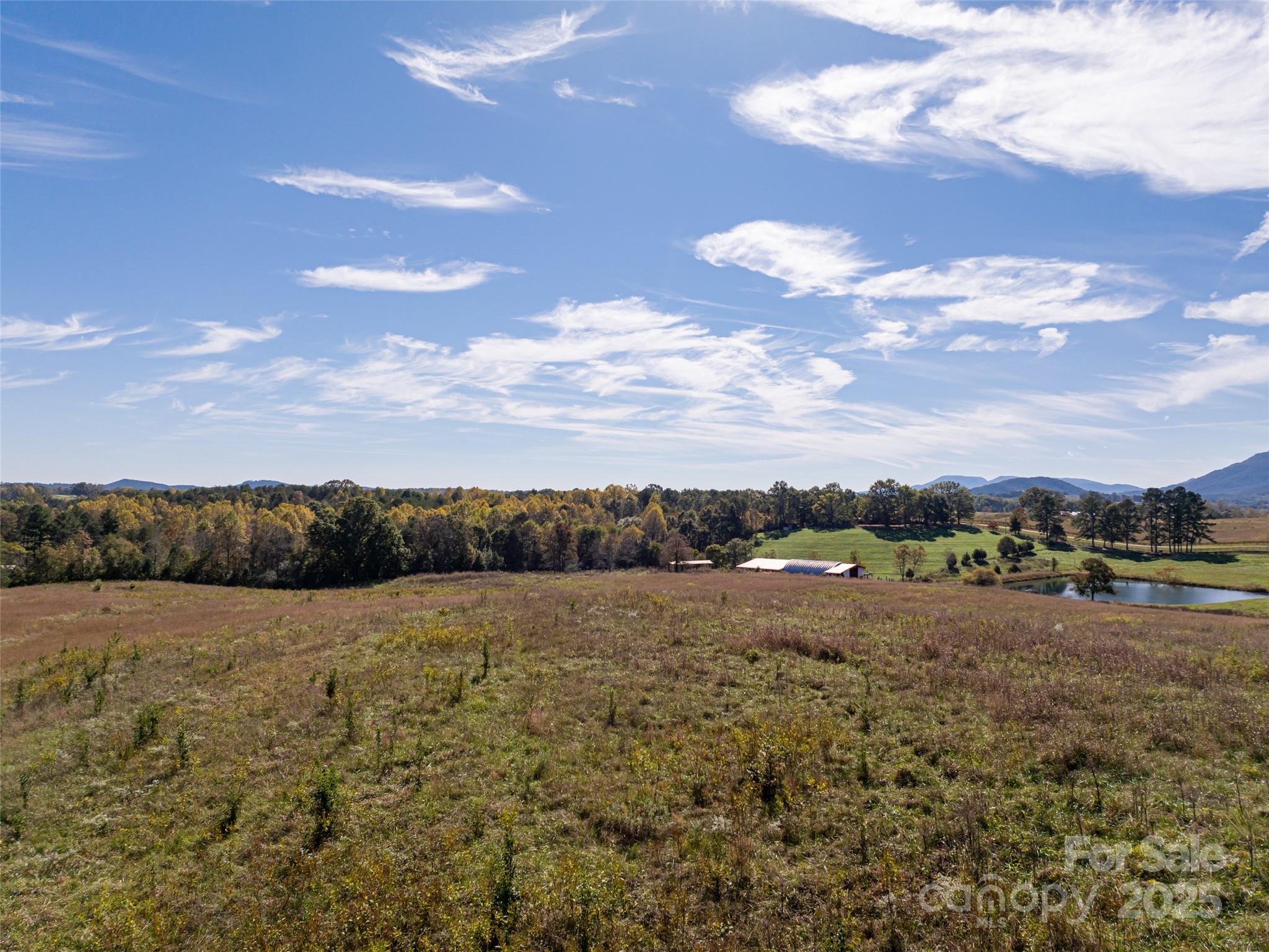 Acreage at 0 E NC Hwy 108 None, Mill Spring, photo 13 of 34