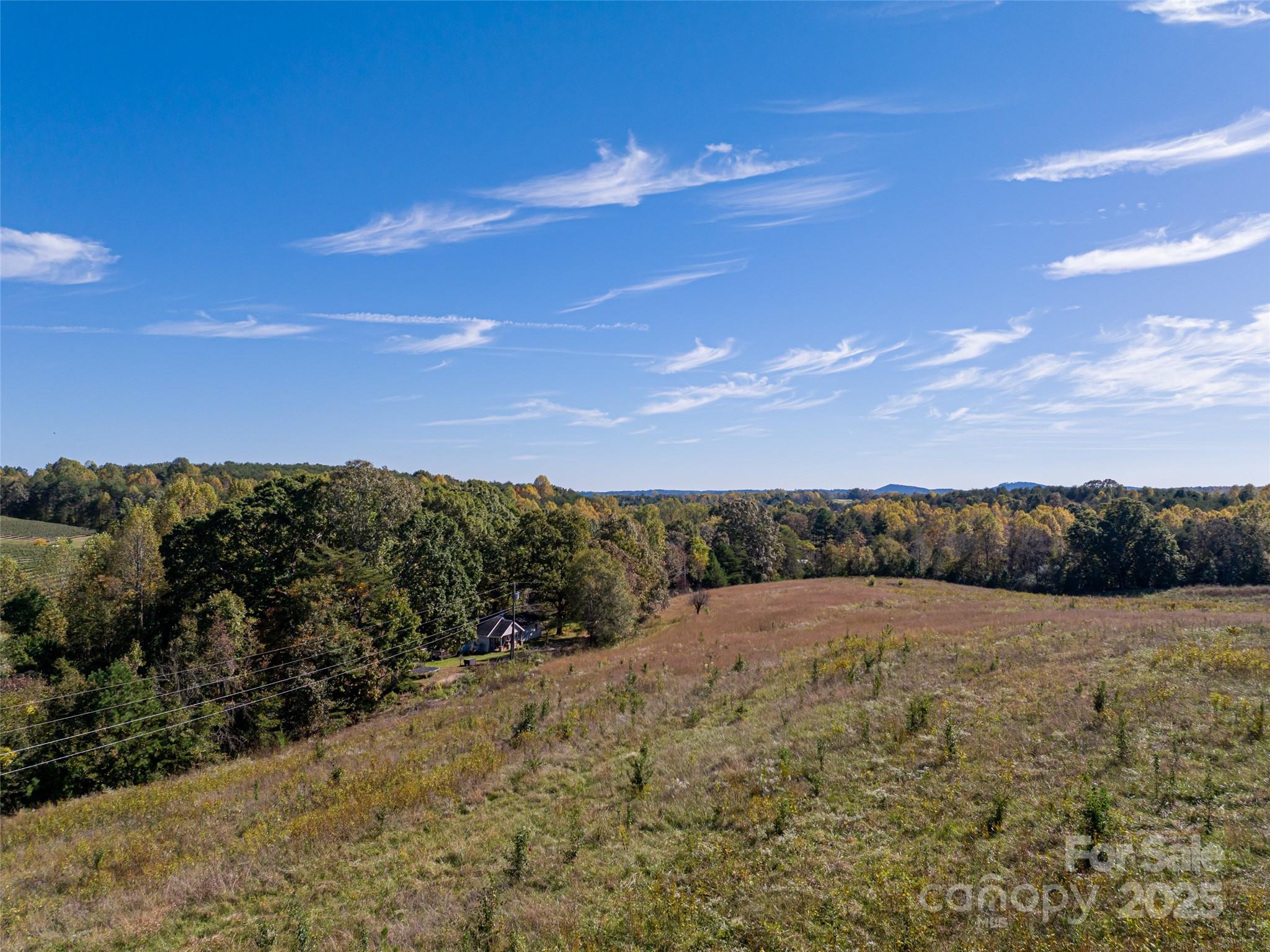 Acreage at 0 E NC Hwy 108 None, Mill Spring, photo 15 of 34