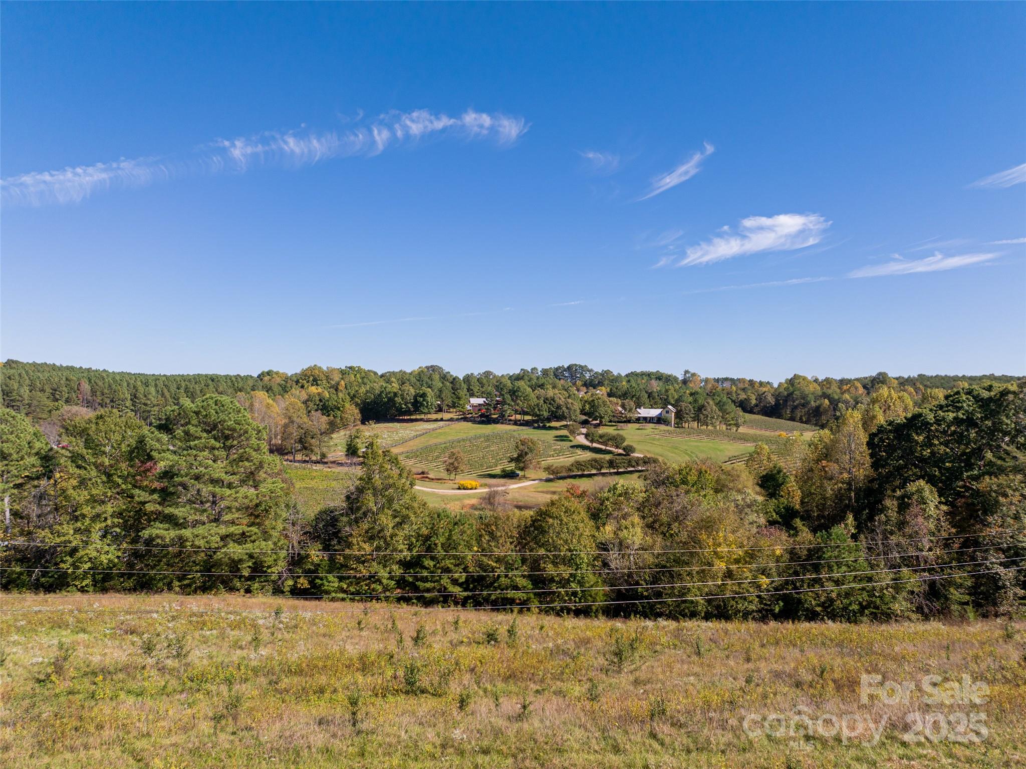Acreage at 0 E NC Hwy 108 None, Mill Spring, photo 17 of 34