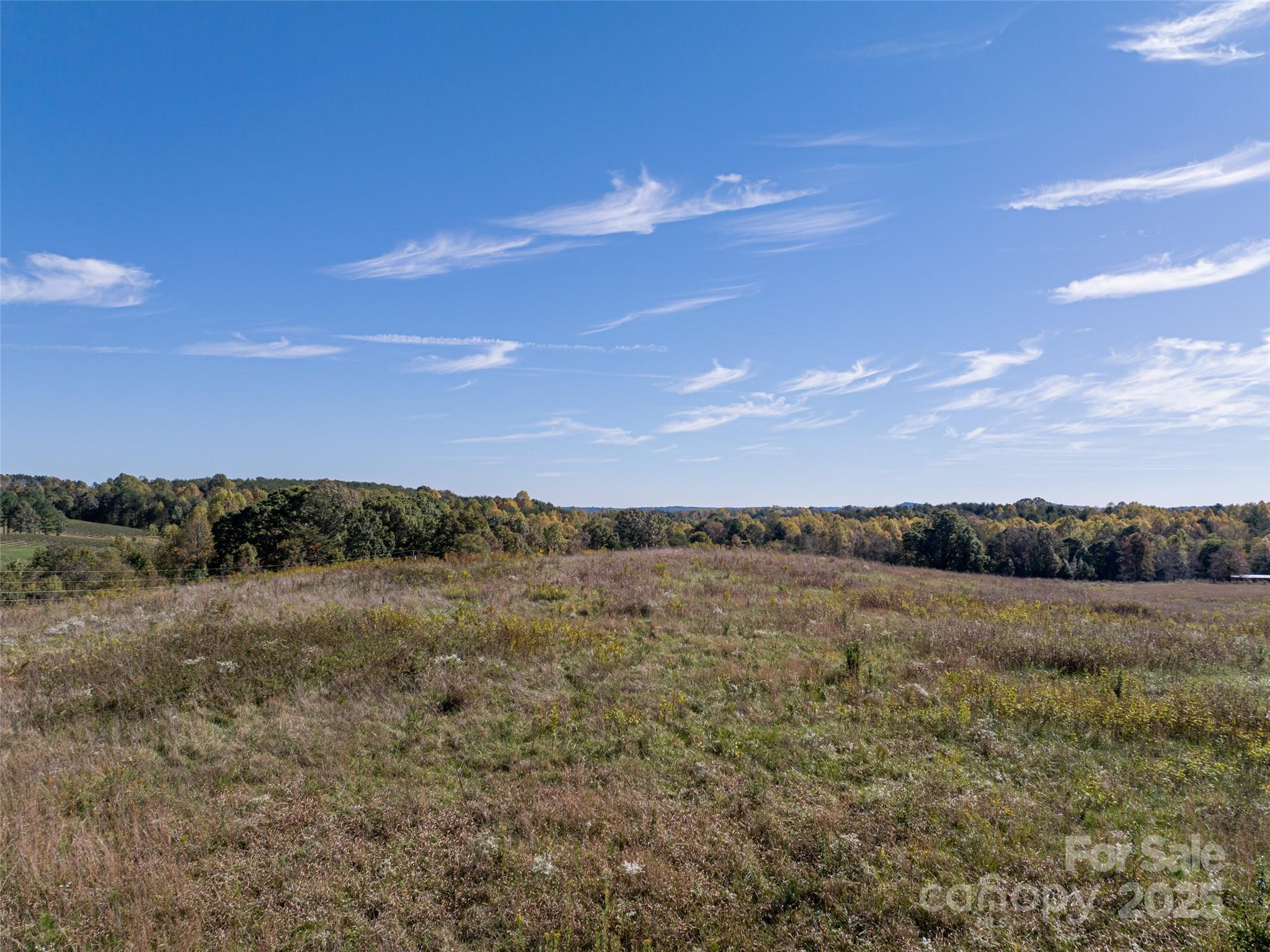 Acreage at 0 E NC Hwy 108 None, Mill Spring, photo 29 of 34