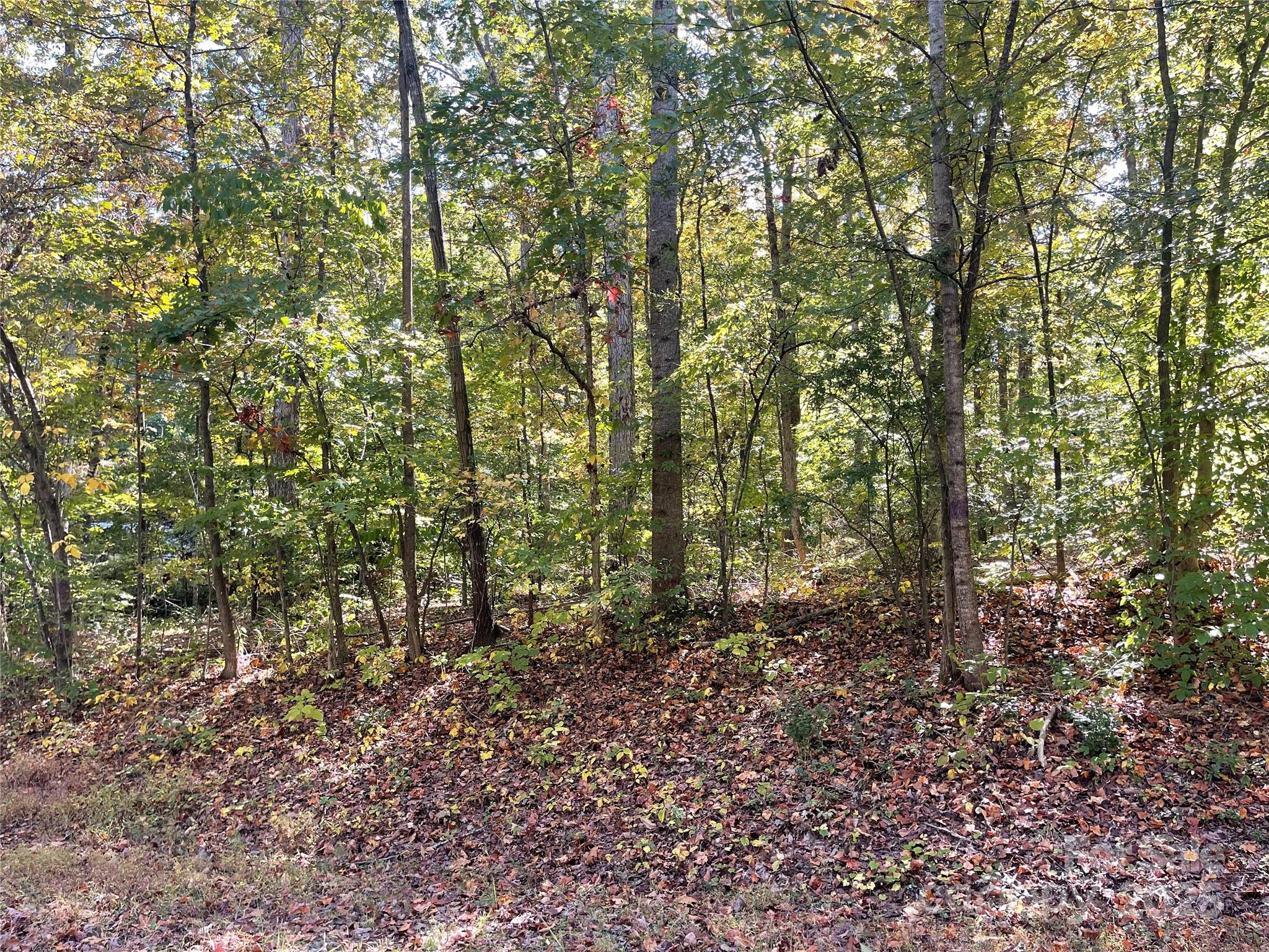 Lot at 00 Heather Lane, Mount Holly, photo 2 of 2