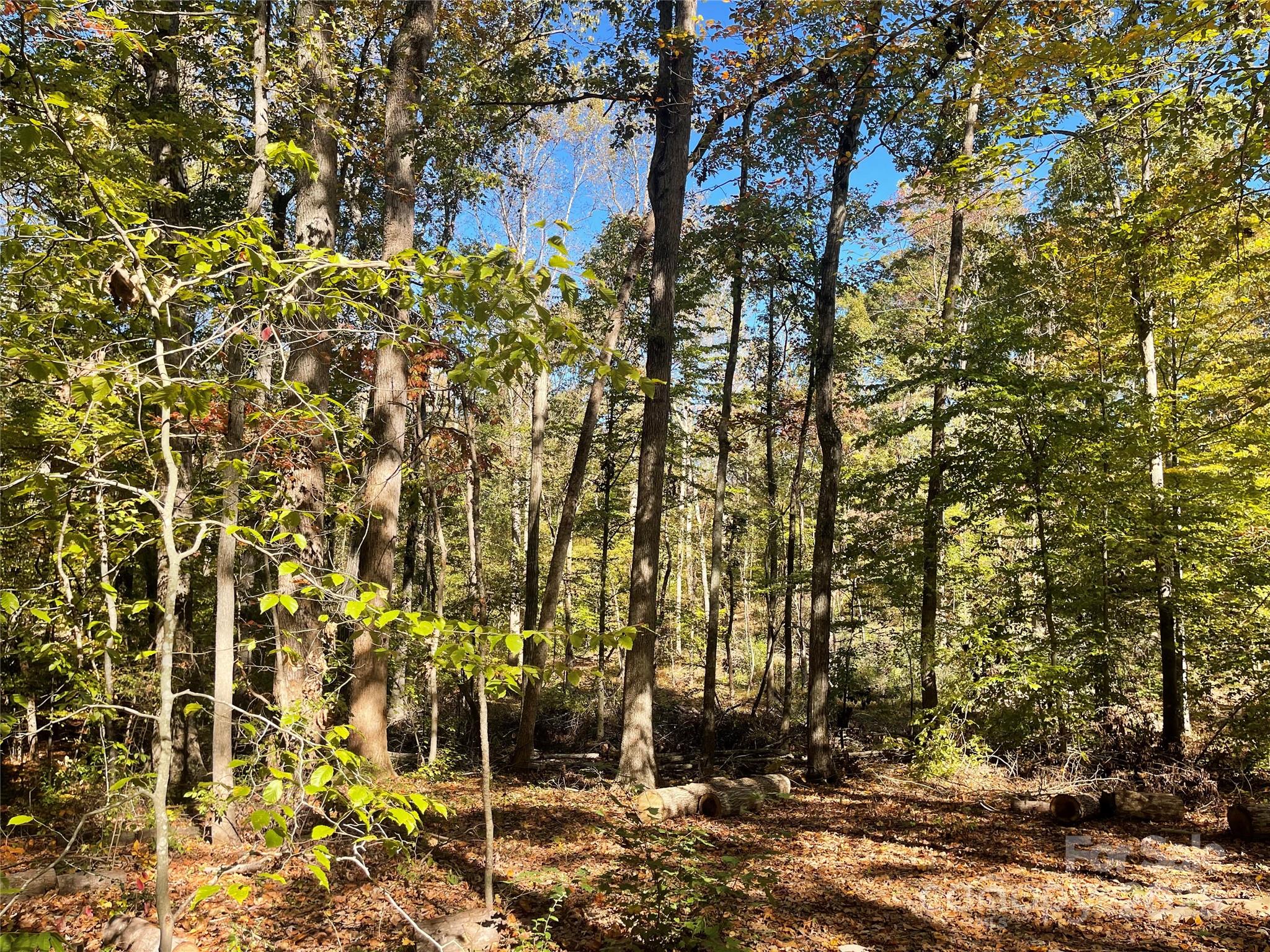 Lot at 00 Heather Lane, Mount Holly, photo 3 of 4