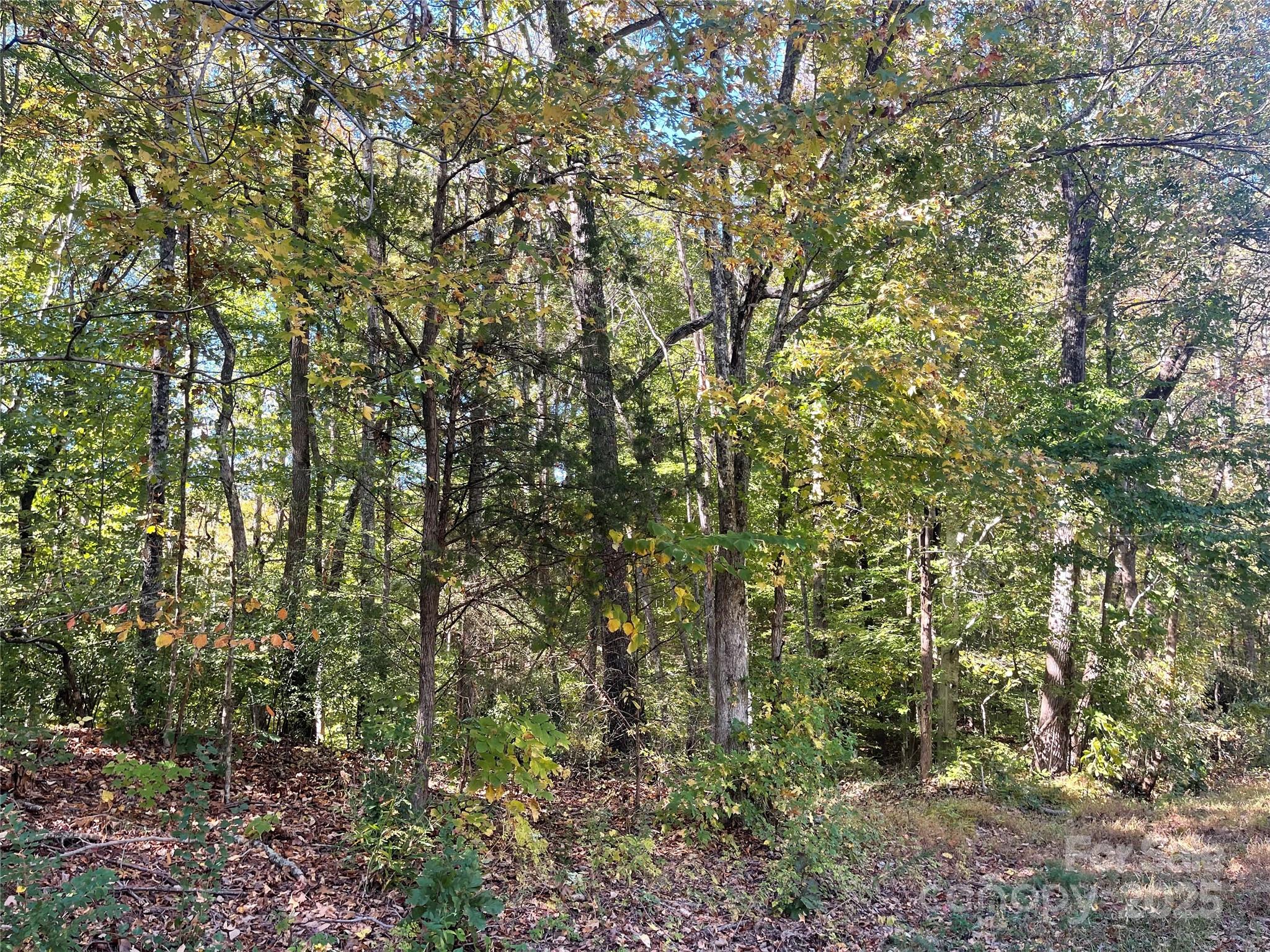 Lot at 237 Lamplighter Lane, Mount Holly, photo 3 of 4