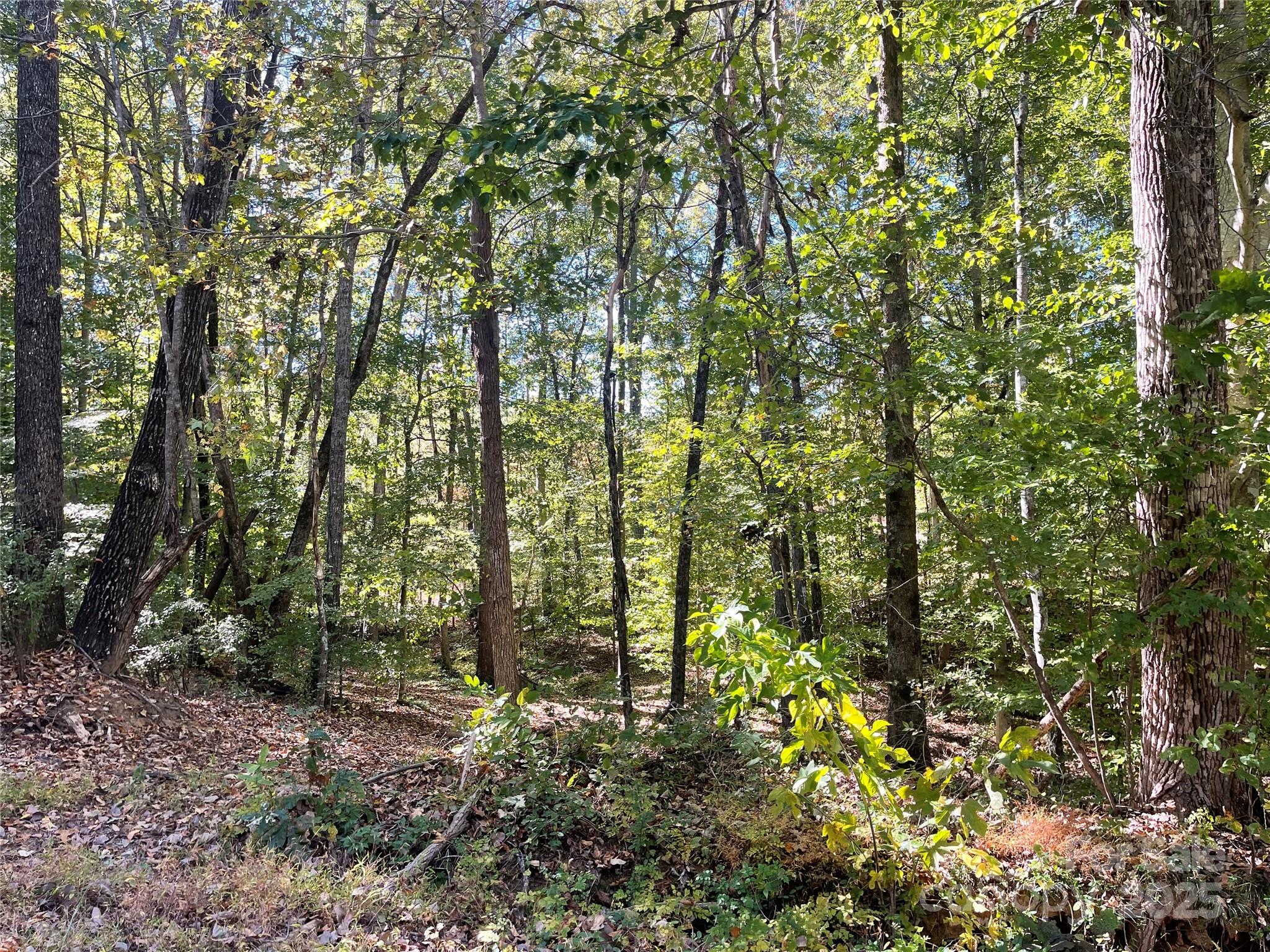 Lot at 237 Lamplighter Lane, Mount Holly, photo 4 of 4