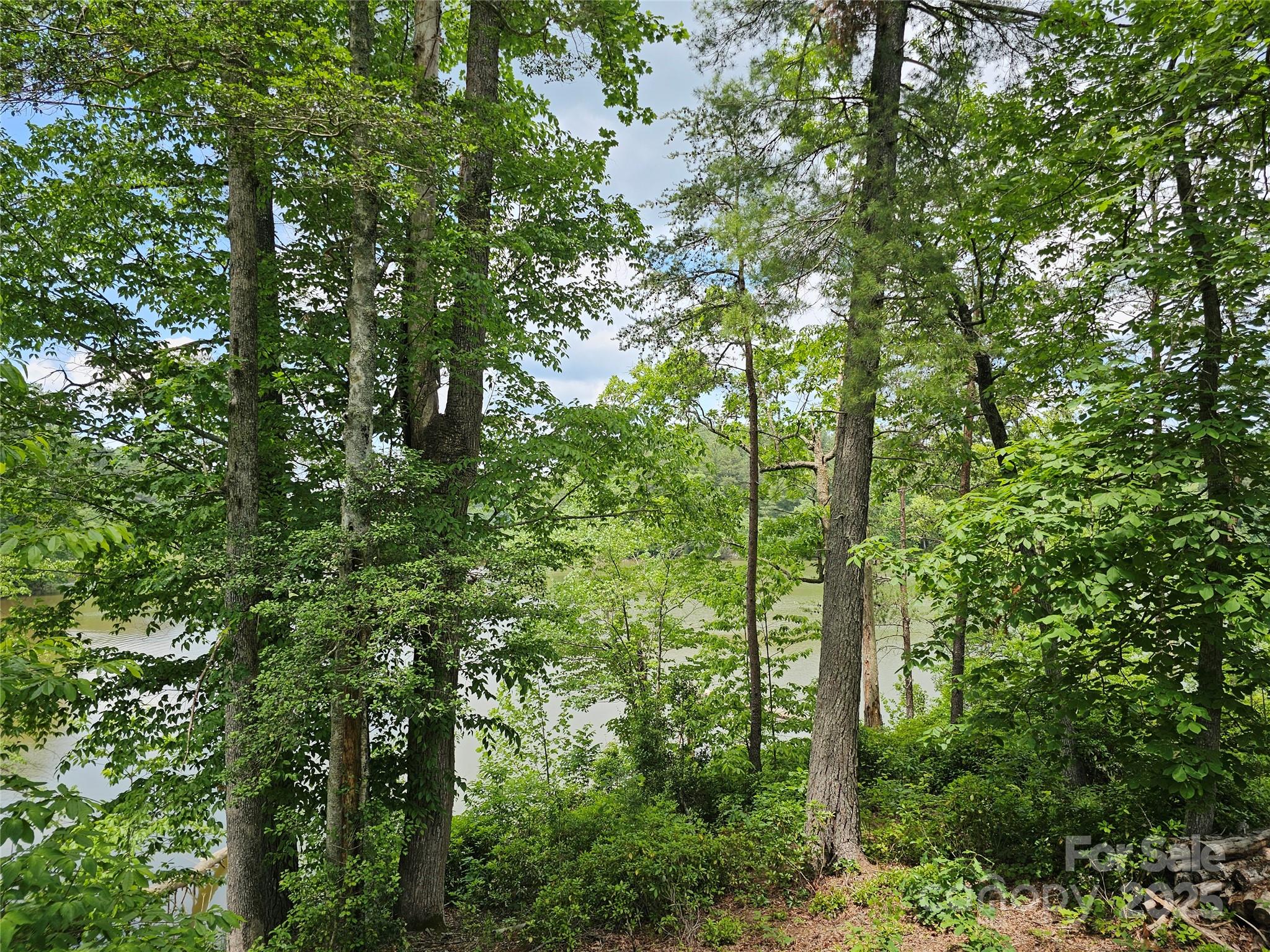 Lot at 2226 Inlet Shore Road NE, Connelly Springs, photo 14 of 15