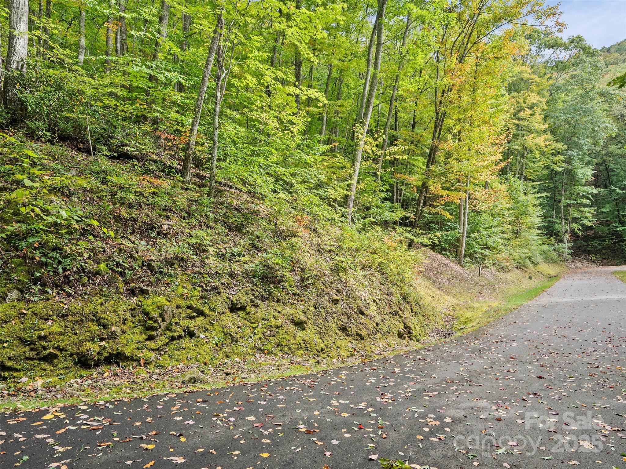 Lot at Lot 23 Finlaystone Trace, Waynesville, photo 2 of 19