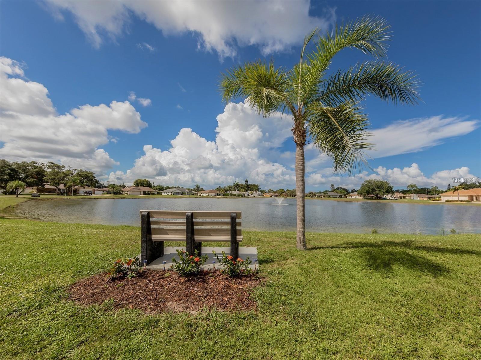 place to sit and watch ducks - 26 CLINTWOOD AVE, ENGLEWOOD