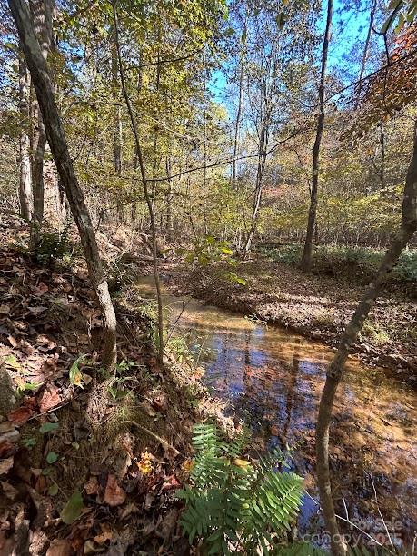 Lot at TBD Cross Creek Drive, Rutherfordton, photo 3 of 34