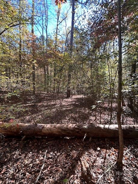 Lot at TBD Cross Creek Drive, Rutherfordton, photo 7 of 34
