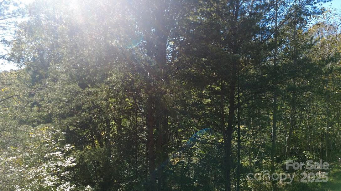 Lot at TBD Cross Creek Drive, Rutherfordton, photo 9 of 34