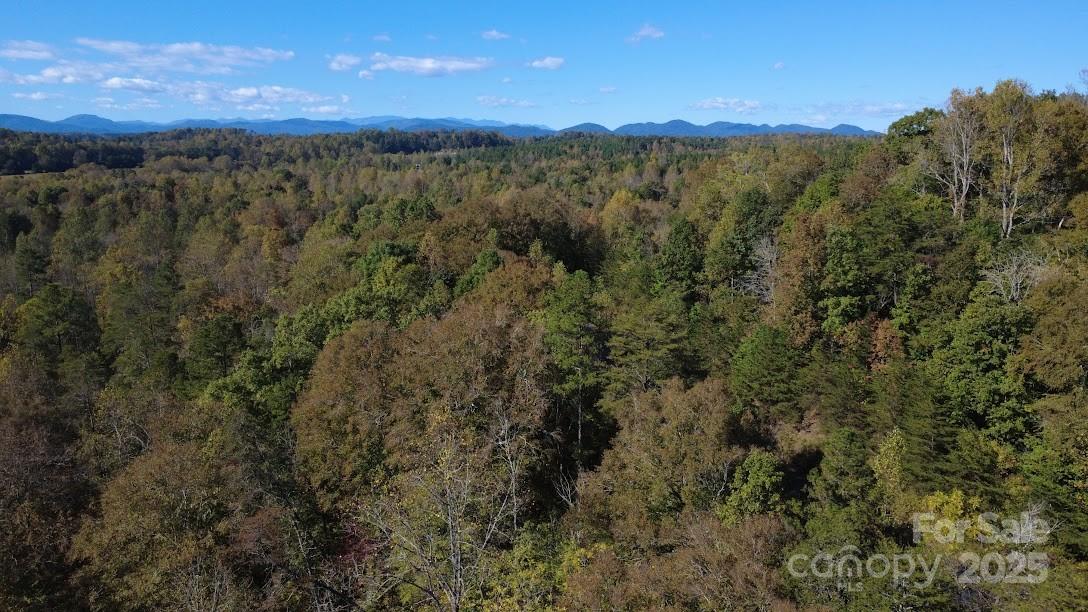 Lot at TBD Cross Creek Drive, Rutherfordton, photo 25 of 34
