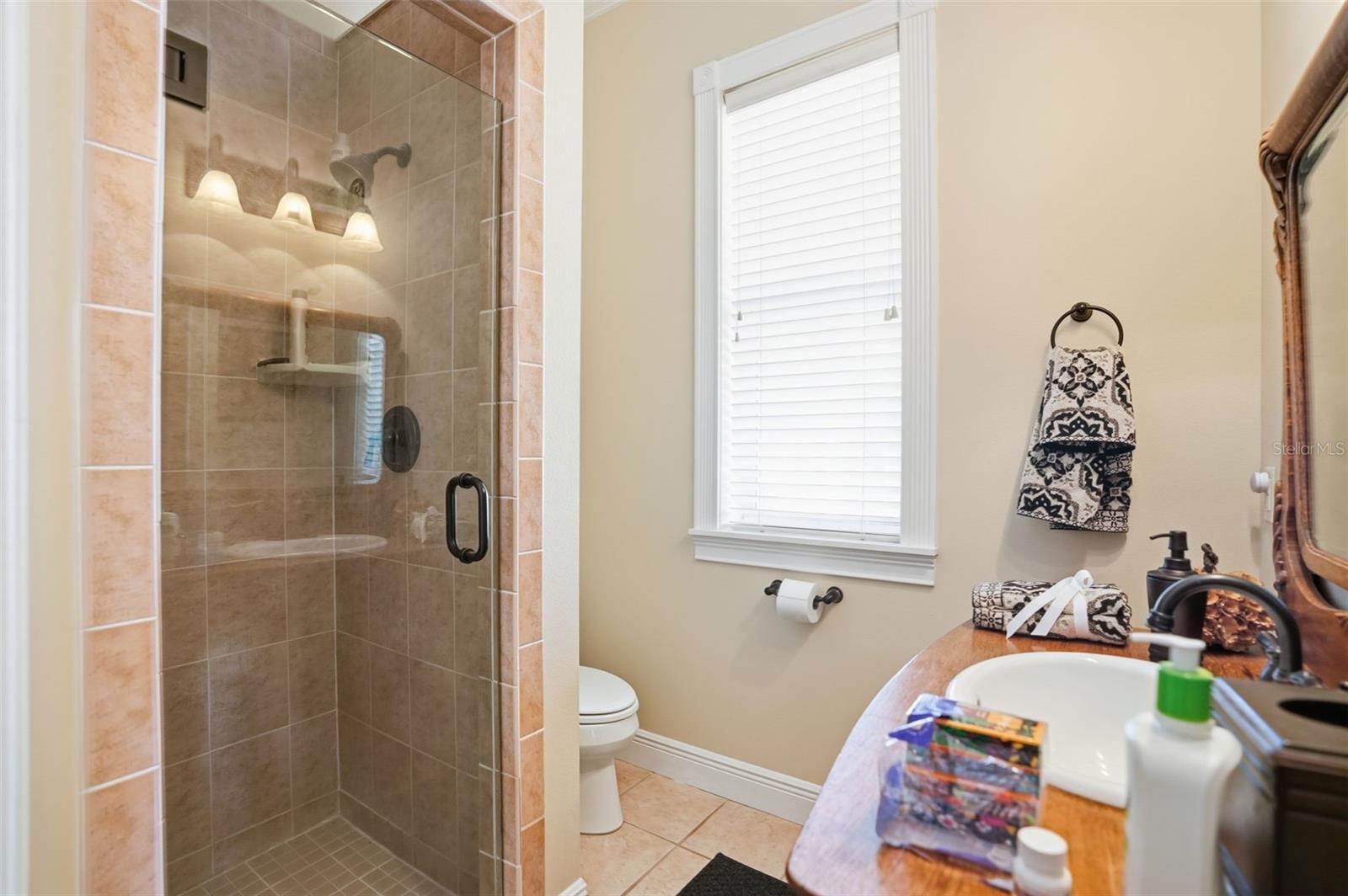 Downstairs bathroom - 23337 LAKE LINDSEY RD, BROOKSVILLE