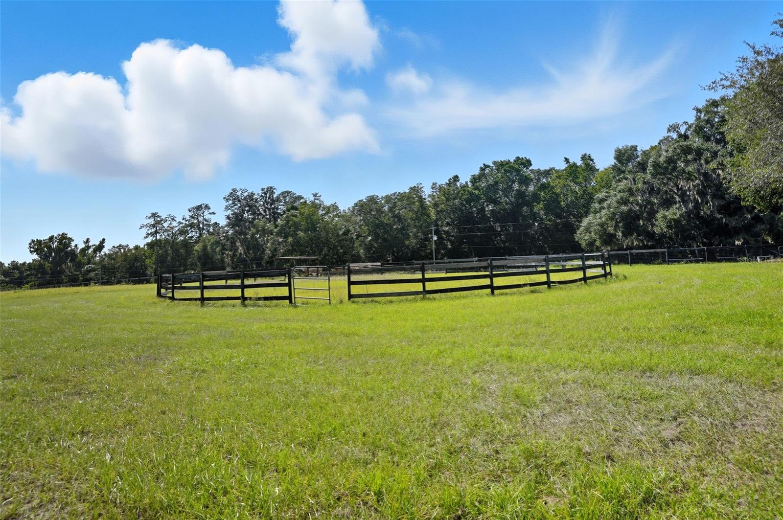 Single Family Residence at 23337 LAKE LINDSEY RD, BROOKSVILLE, photo 47 of 59