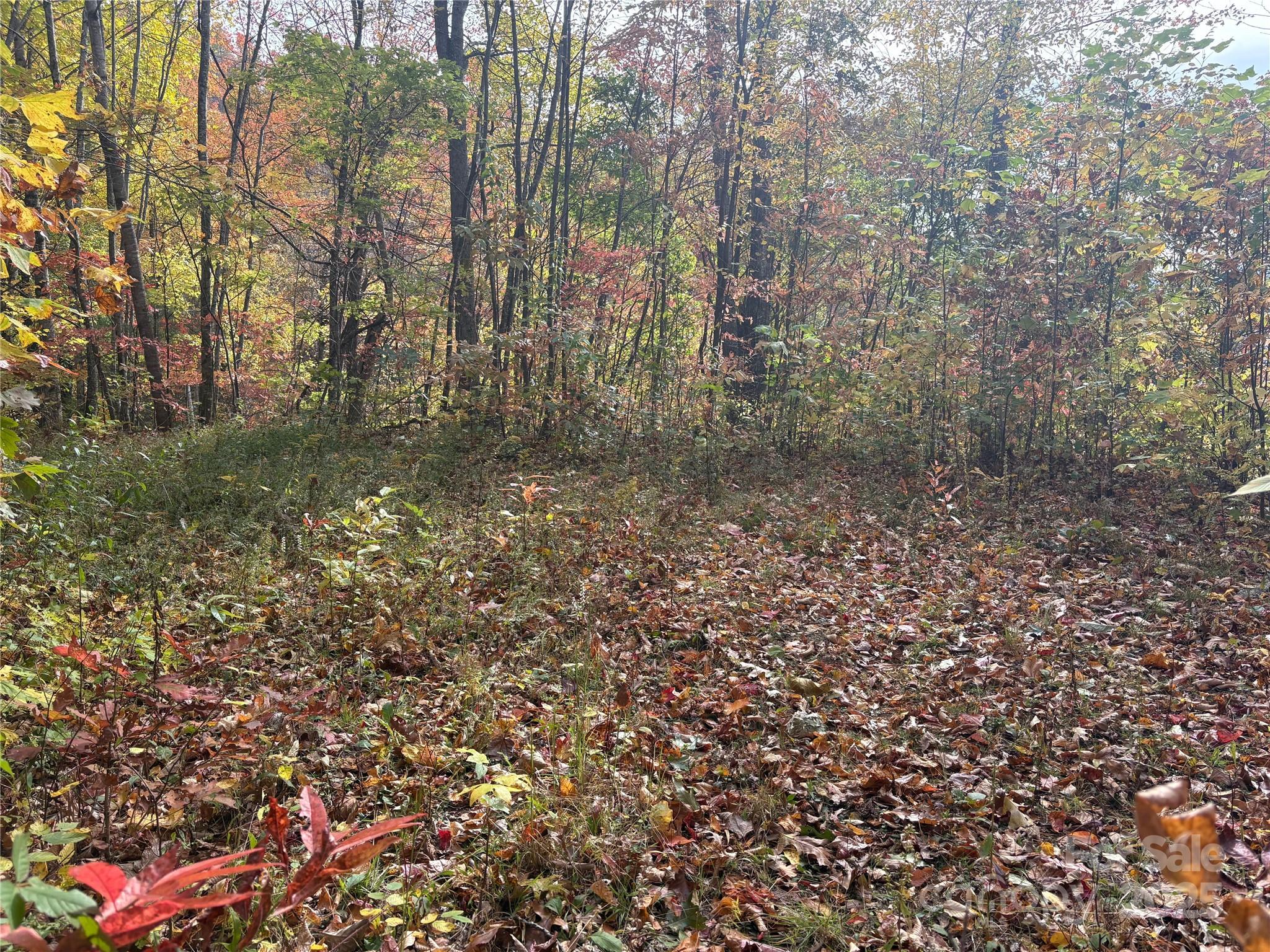 Lot at 899 Hyacinth Drive, Clyde, photo 26 of 29