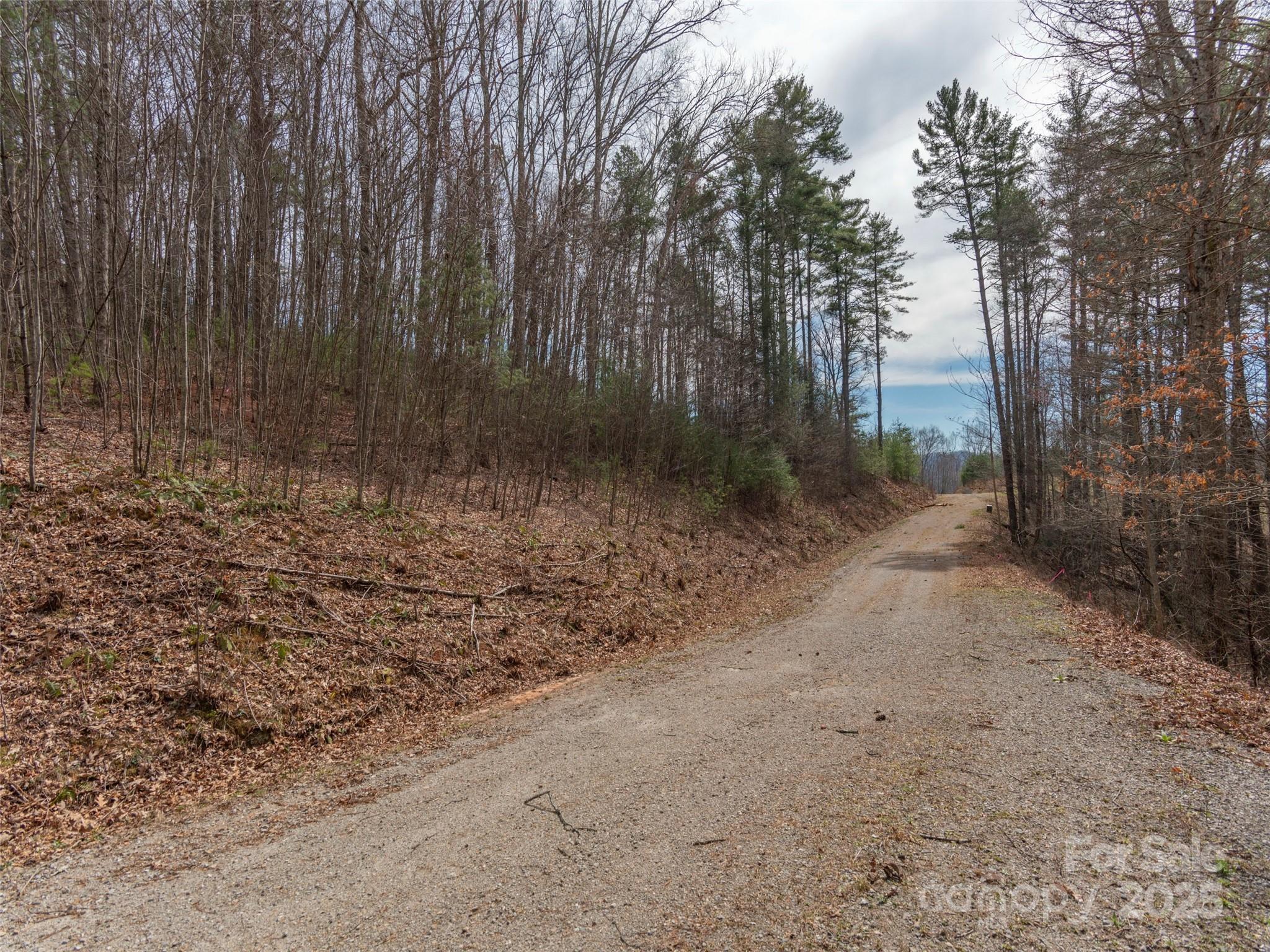 Lot at 00 Wildlife Drive, Clyde, photo 5 of 8