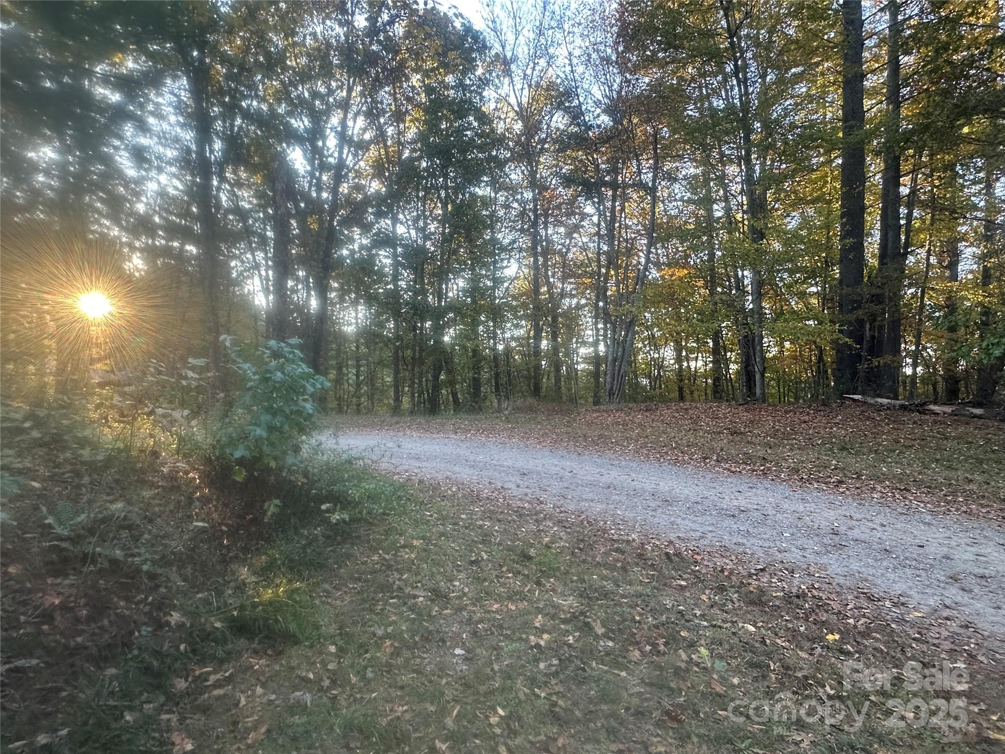 Lot at 00 Wildlife Drive, Clyde, photo 6 of 8
