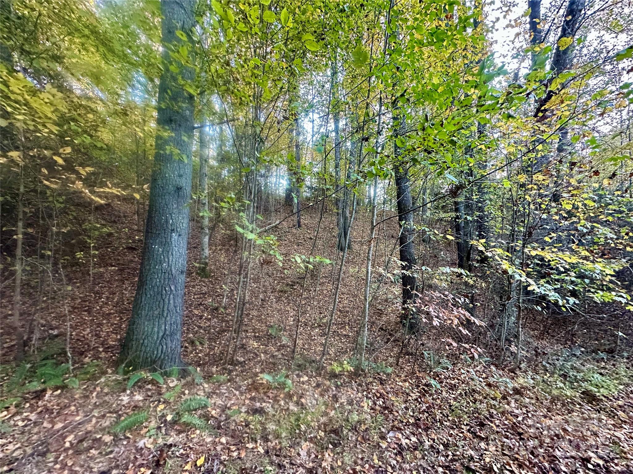Lot at 00 Wildlife Drive, Clyde, photo 8 of 8