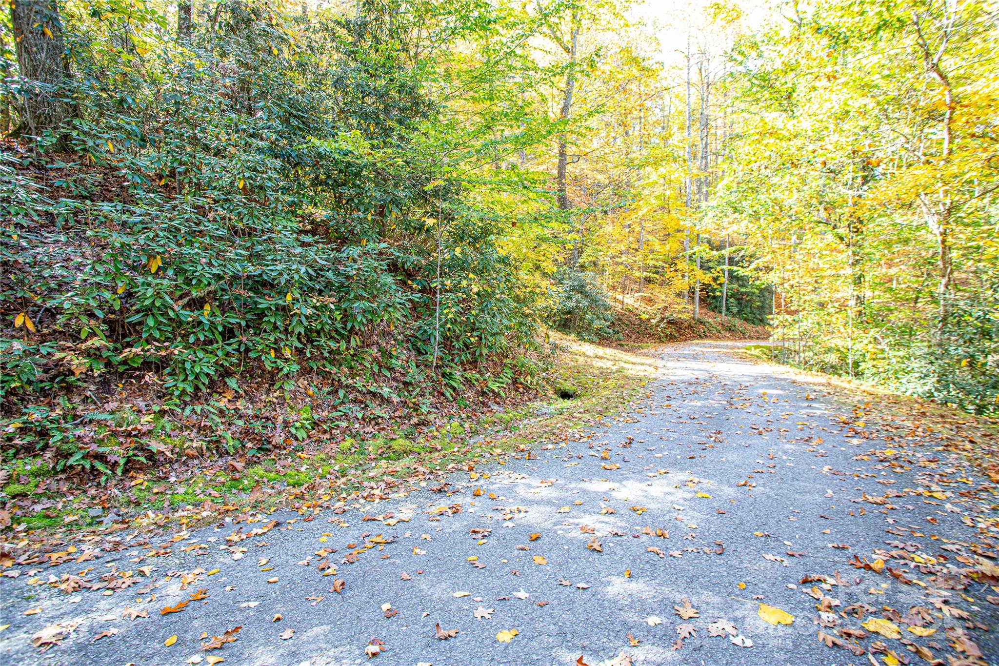 Lot at TBD Reserve Road, Brevard, photo 2 of 15