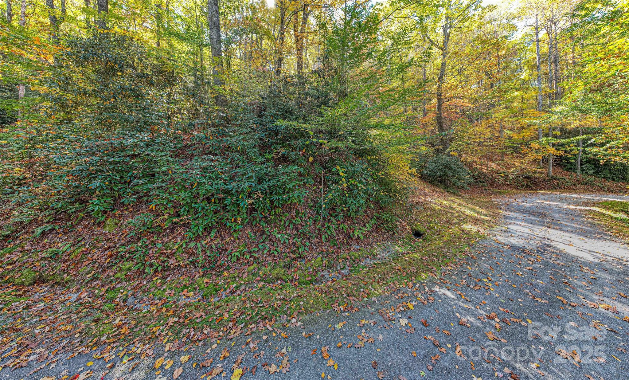 Lot at TBD Reserve Road, Brevard, photo 3 of 15
