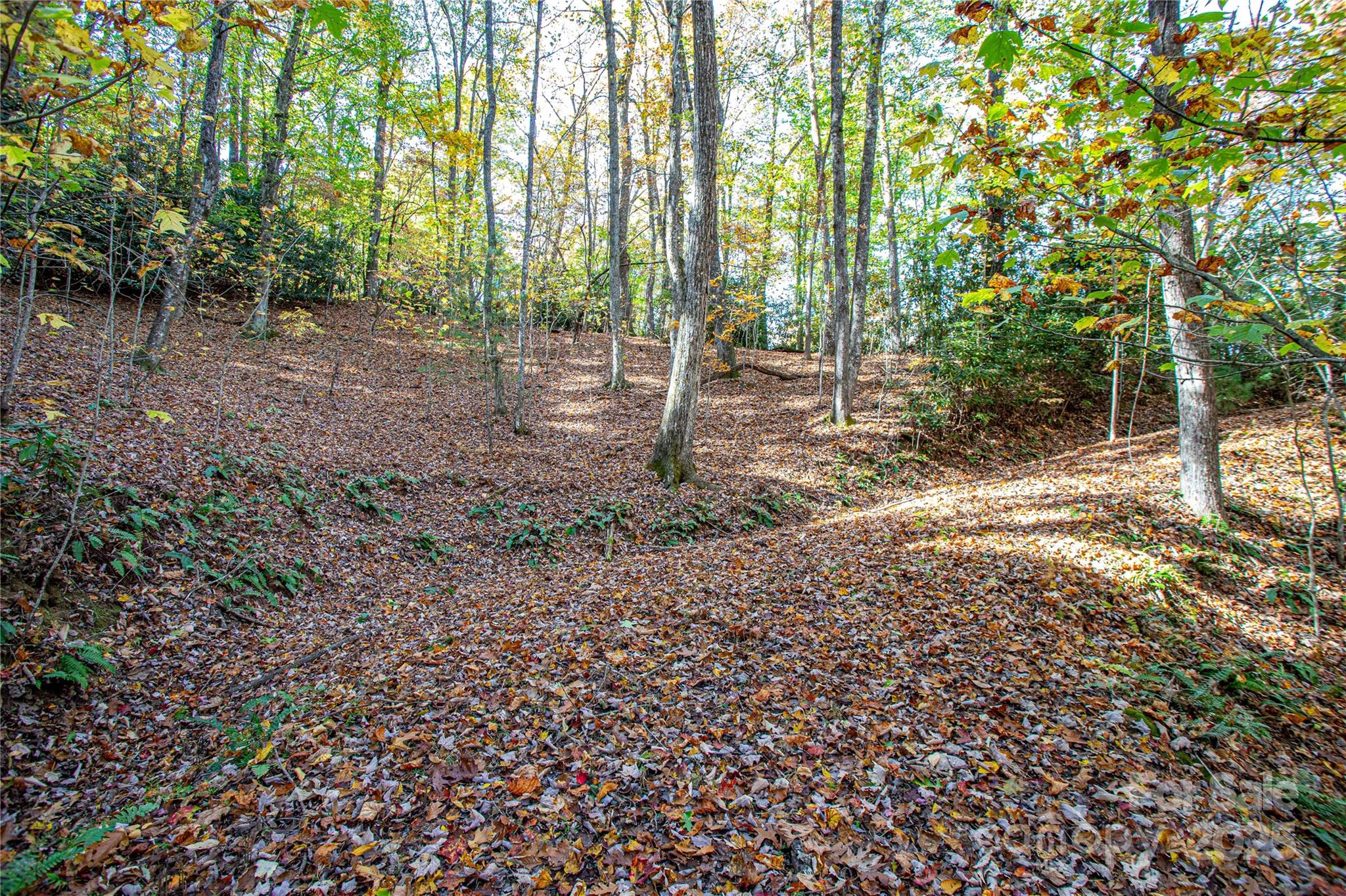 Lot at TBD Reserve Road, Brevard, photo 10 of 15
